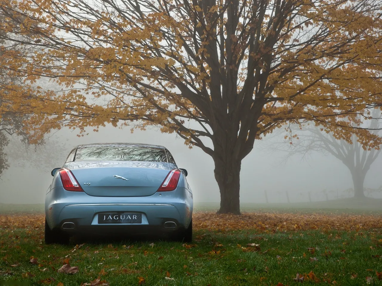 Jaguar XJ (2010) – zezadu