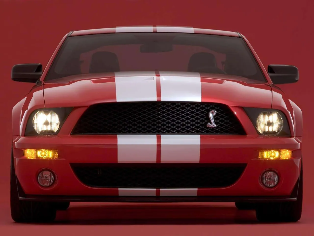 Ford Shelby SVT Cobra GT500 Mustang Show Car (2005) – zepředu