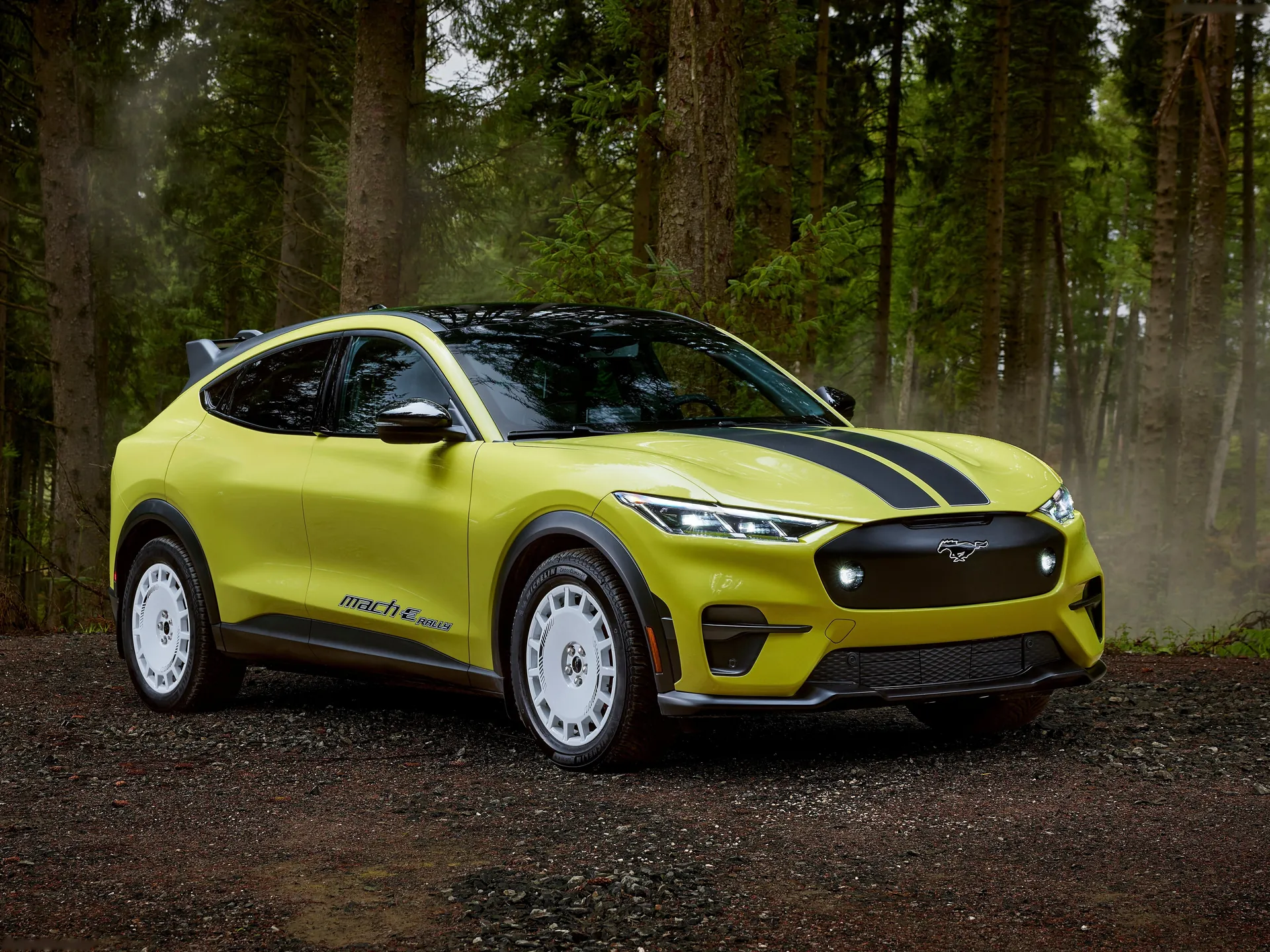 Ford Mustang Mach-E Rally (2024)