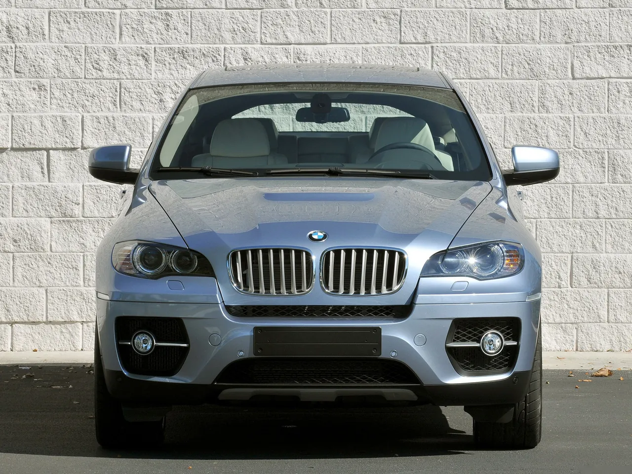 BMW X6 ActiveHybrid (2010) – zepředu