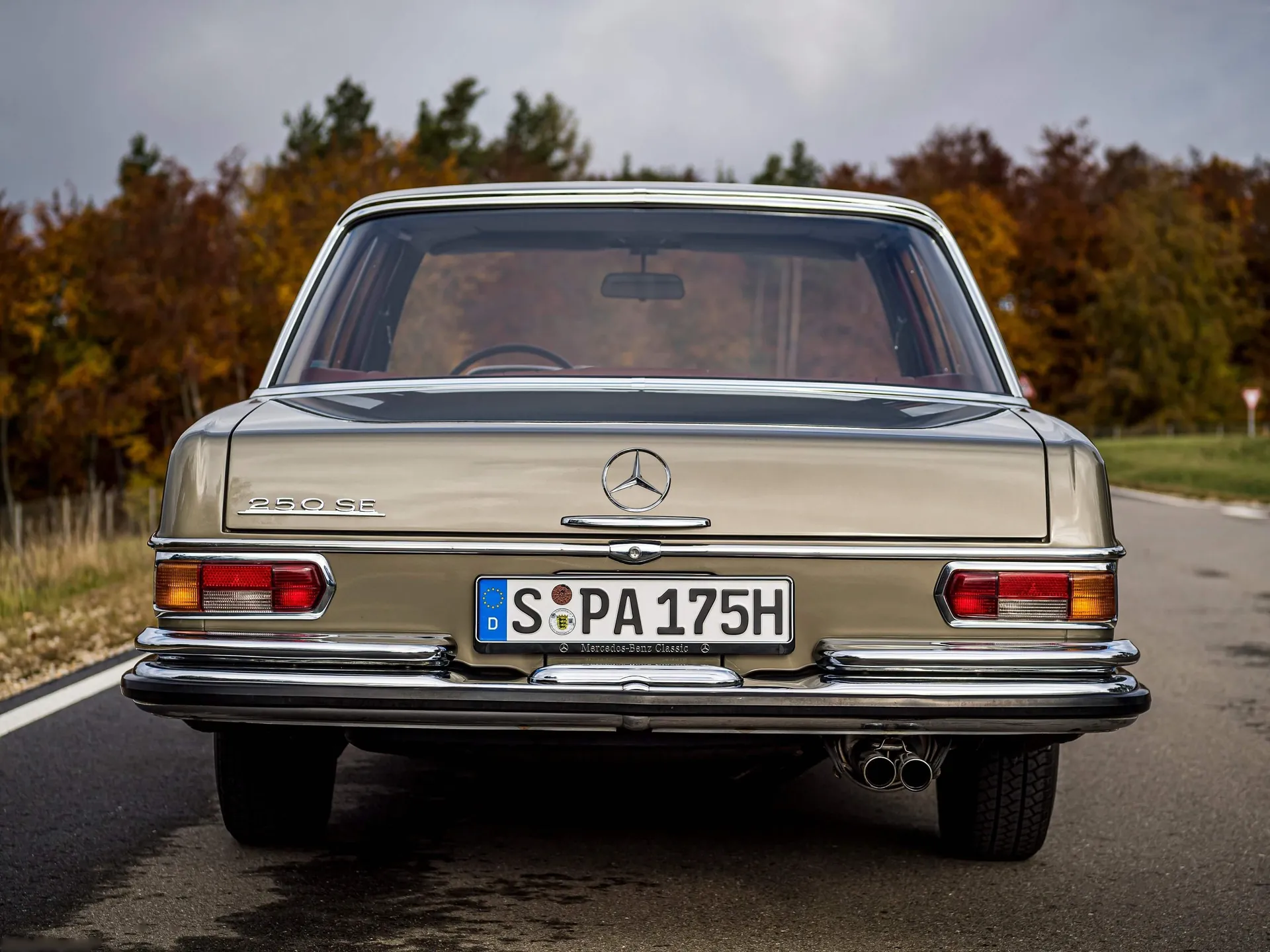 Mercedes-Benz 250 SE W108 (1965) - Rear