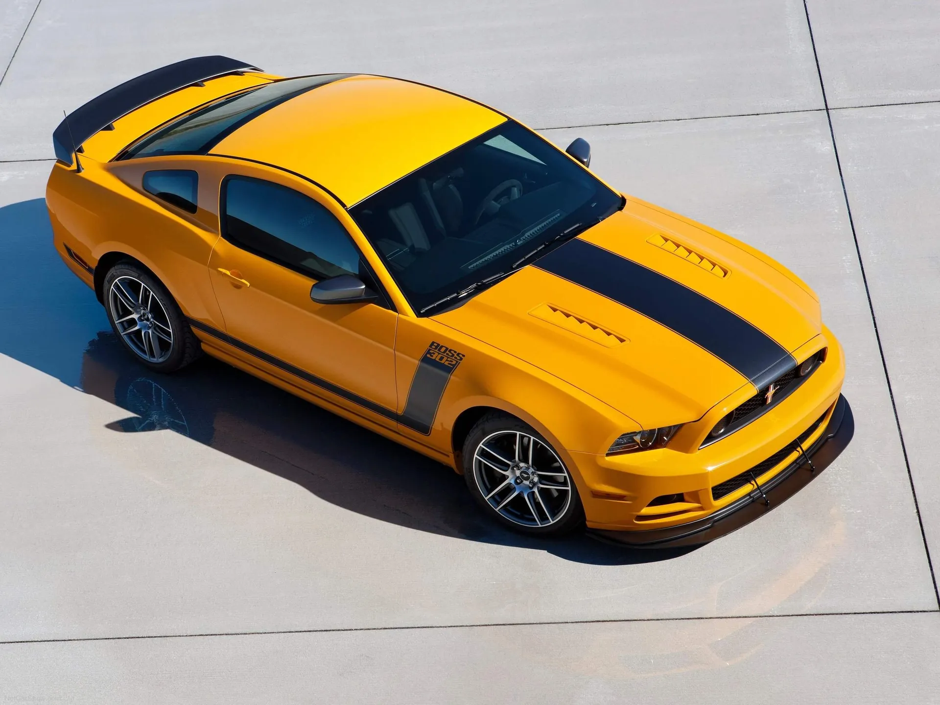 Ford Mustang Boss 302 (2013)
