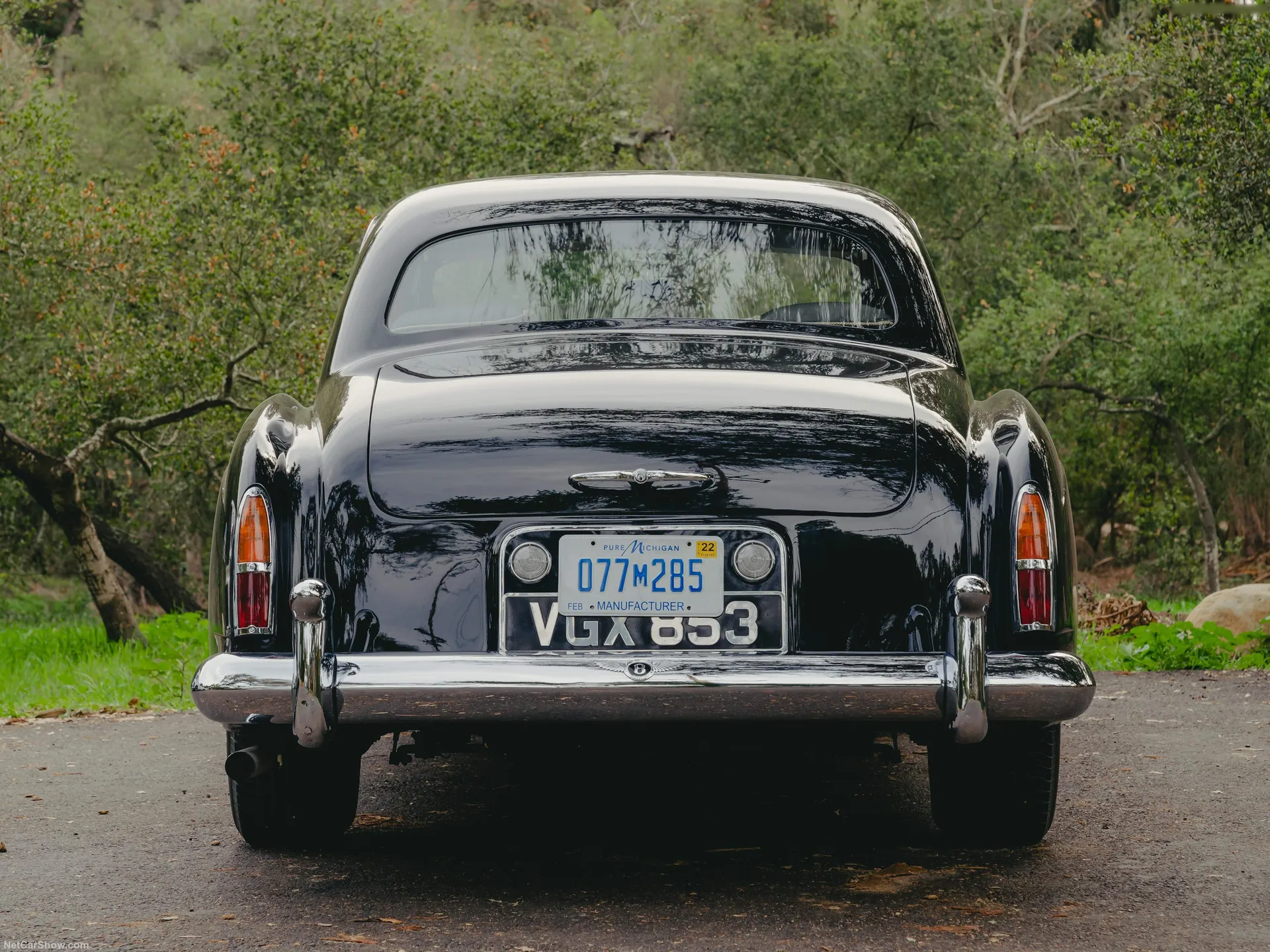 Bentley S1 Continental Flying Spur (1958) – zezadu