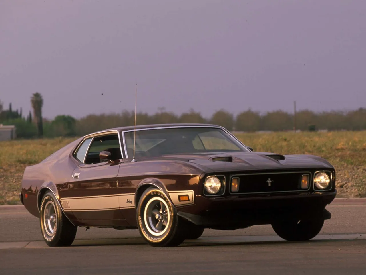 Ford Mustang Mach 1 (1973)