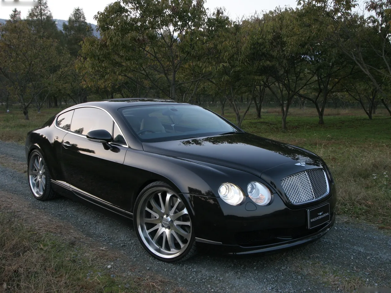 Wald Bentley Continental GT (2006)