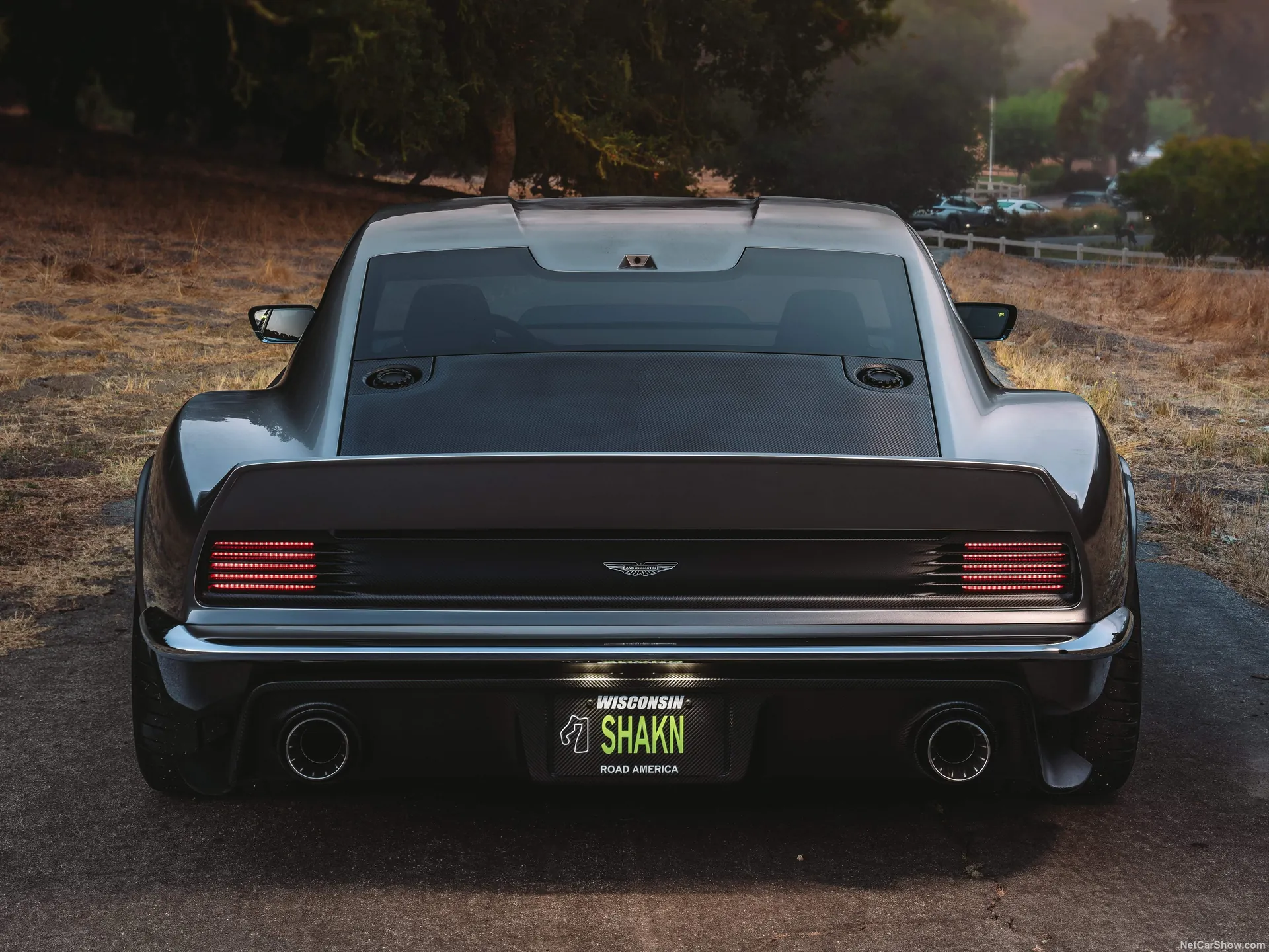 Aston Martin DBS Octavia by Ringbrothers (1971) - Rear