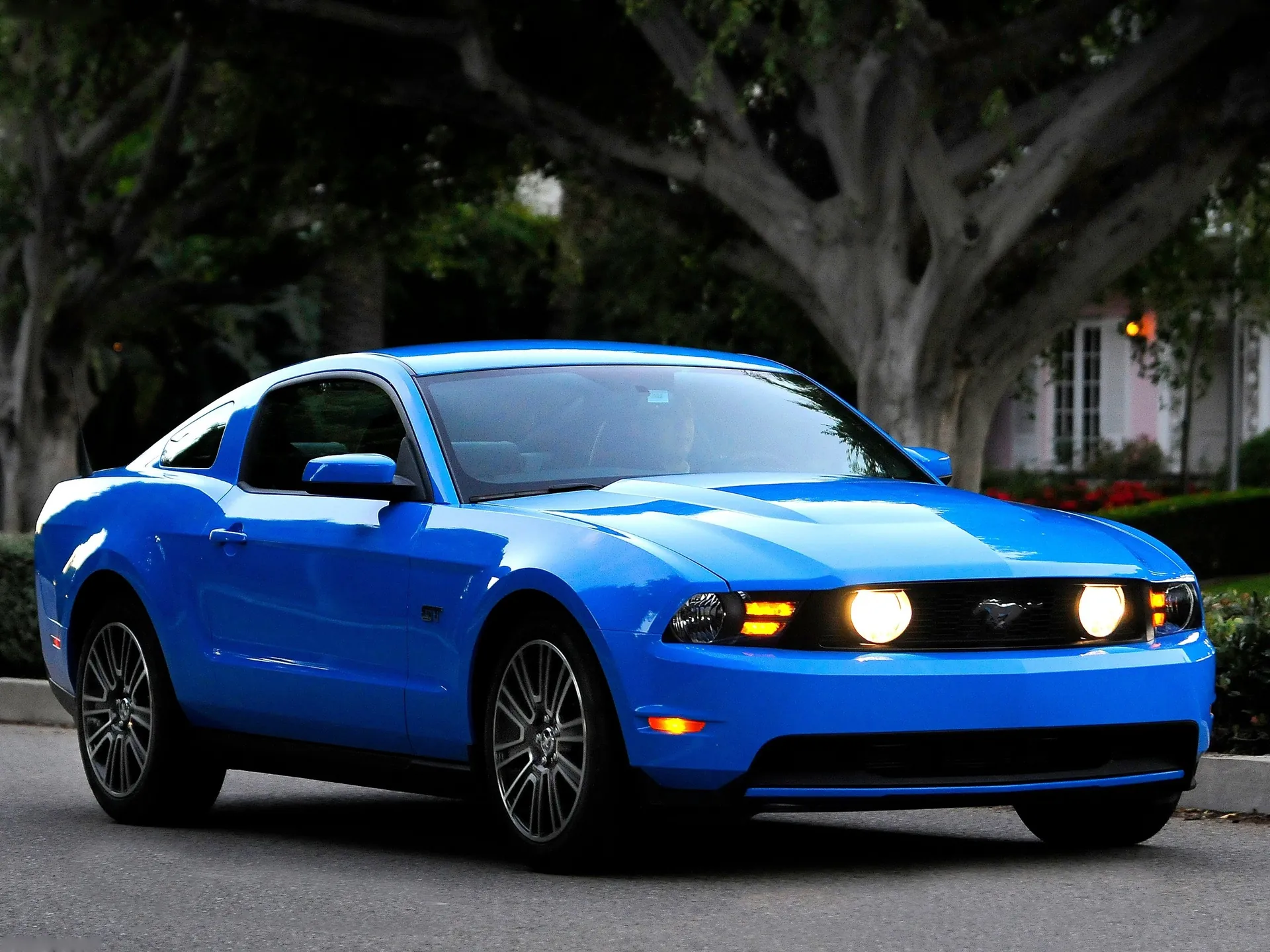 Ford Mustang (2010)