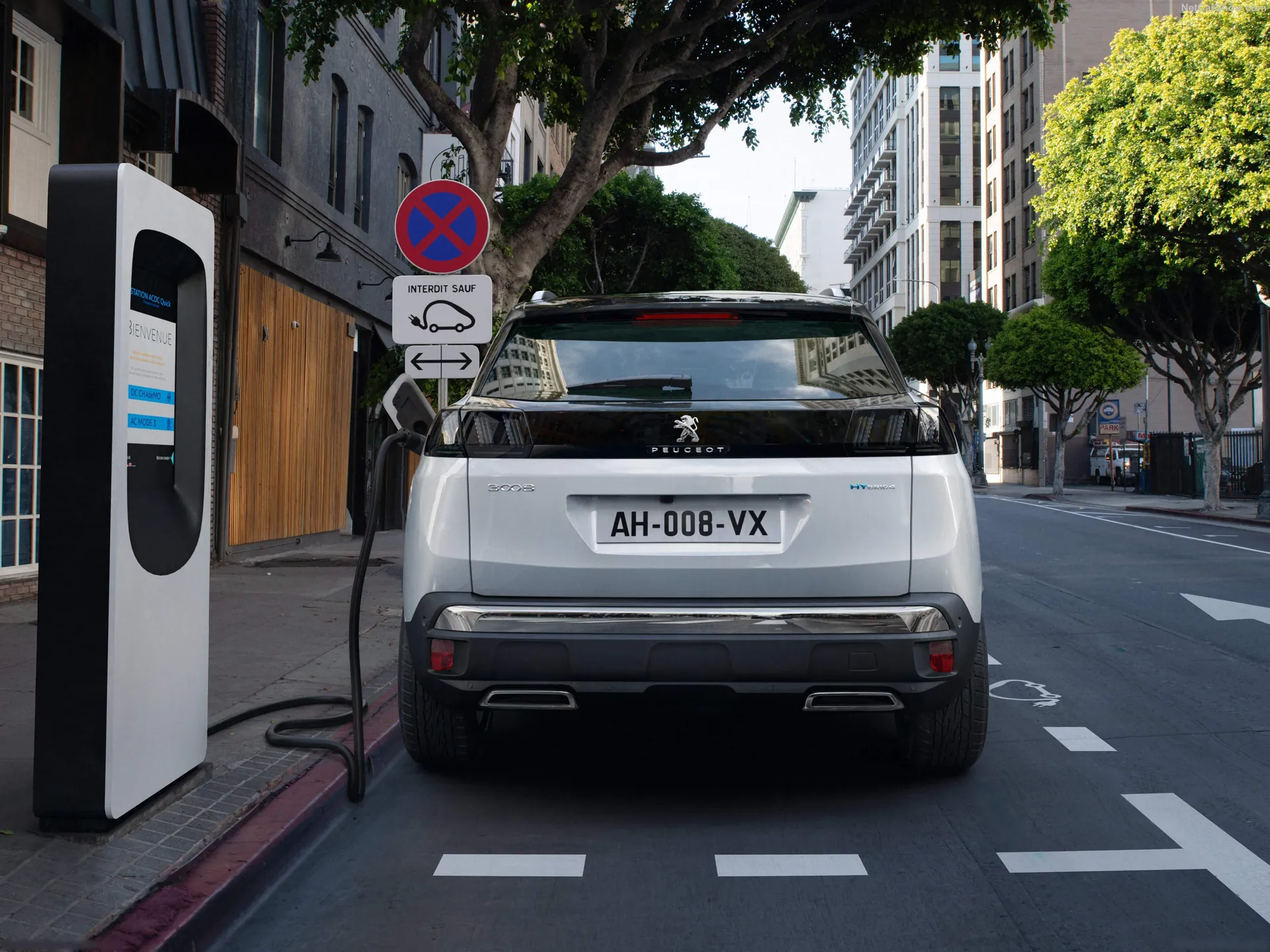 Peugeot 3008 (2021) – zezadu