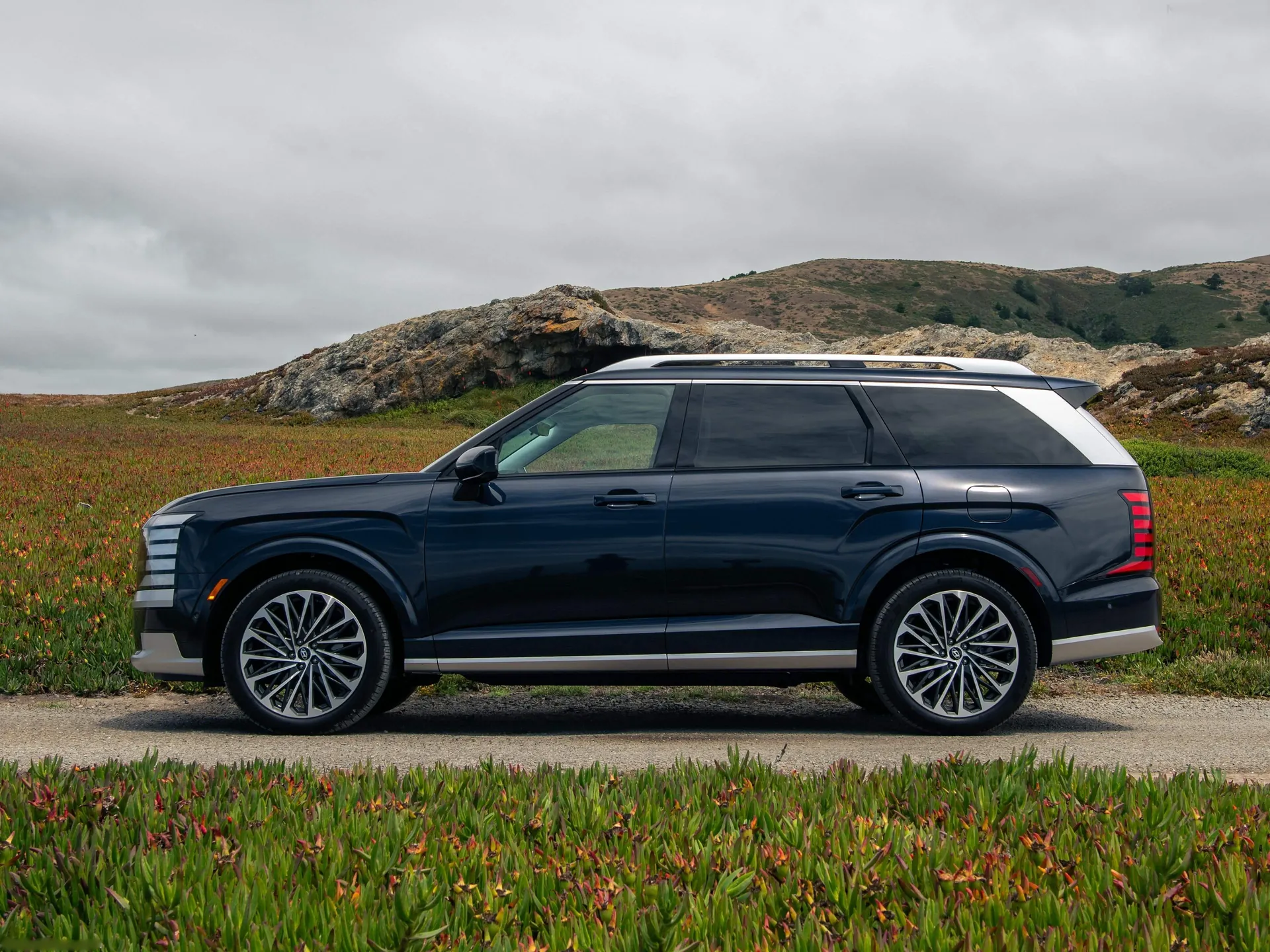 Hyundai Palisade (2026) - Side Profile