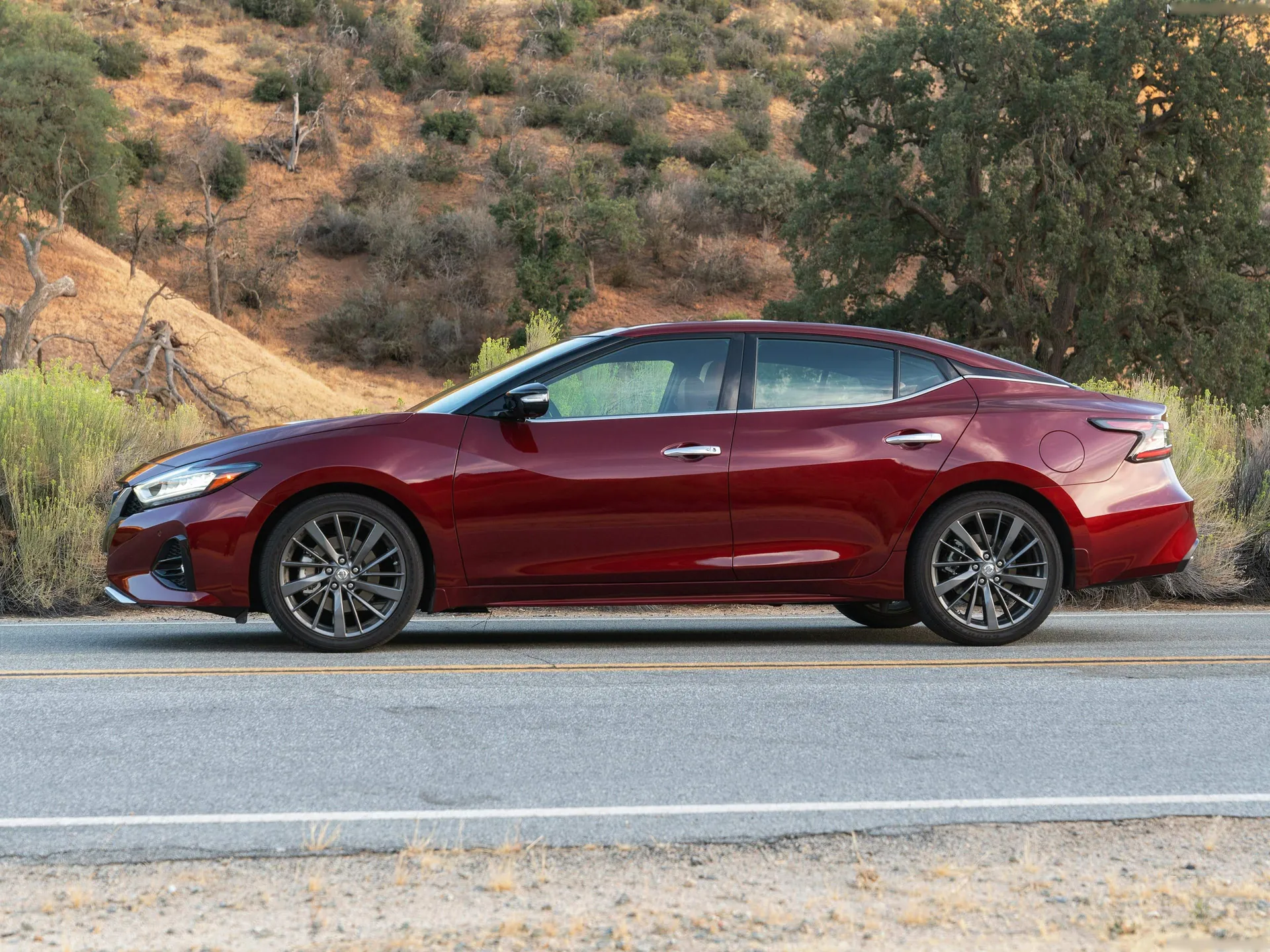Nissan Maxima (2019) - Side Profile