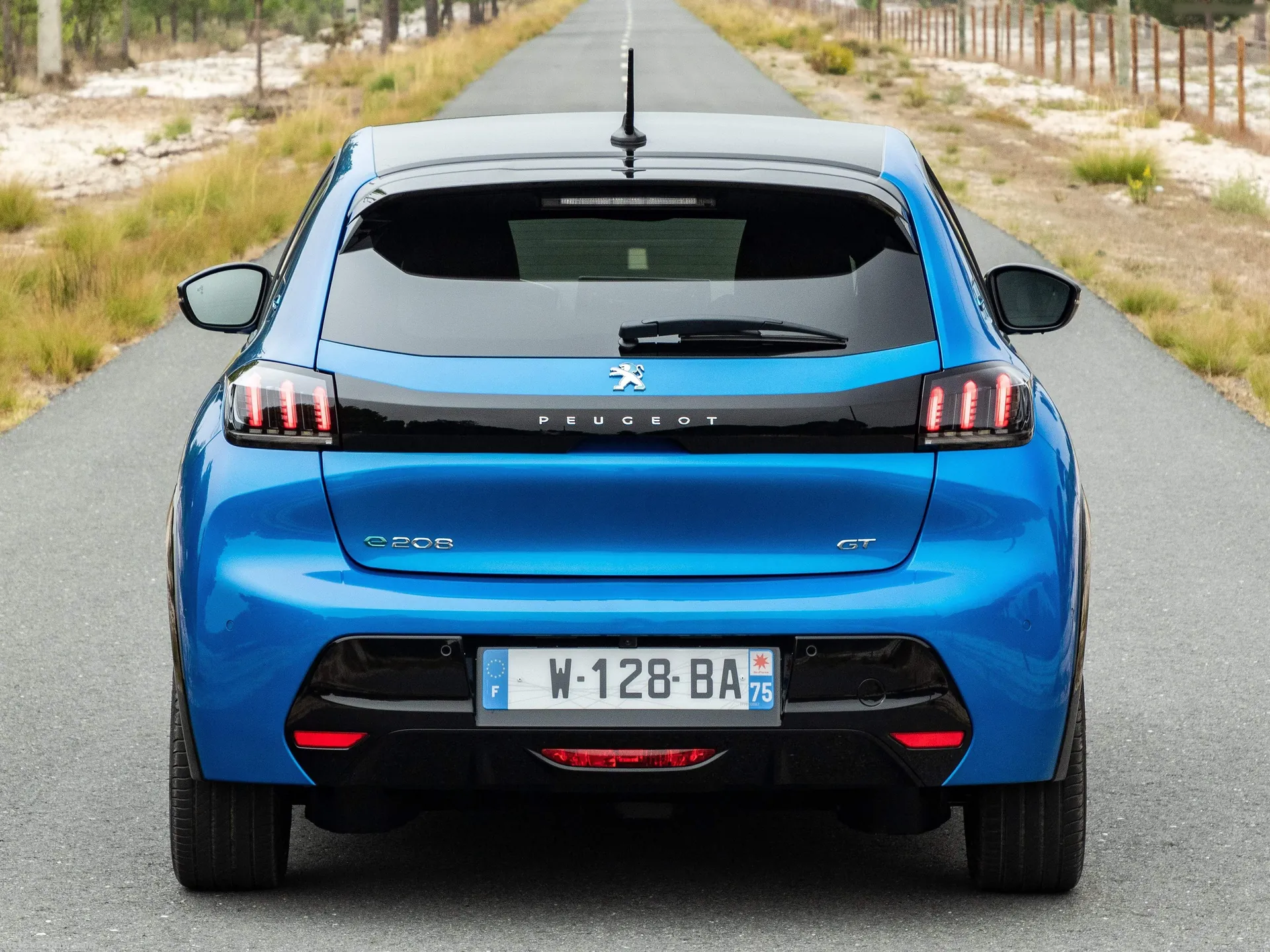 Peugeot e-208 (2020) – zezadu