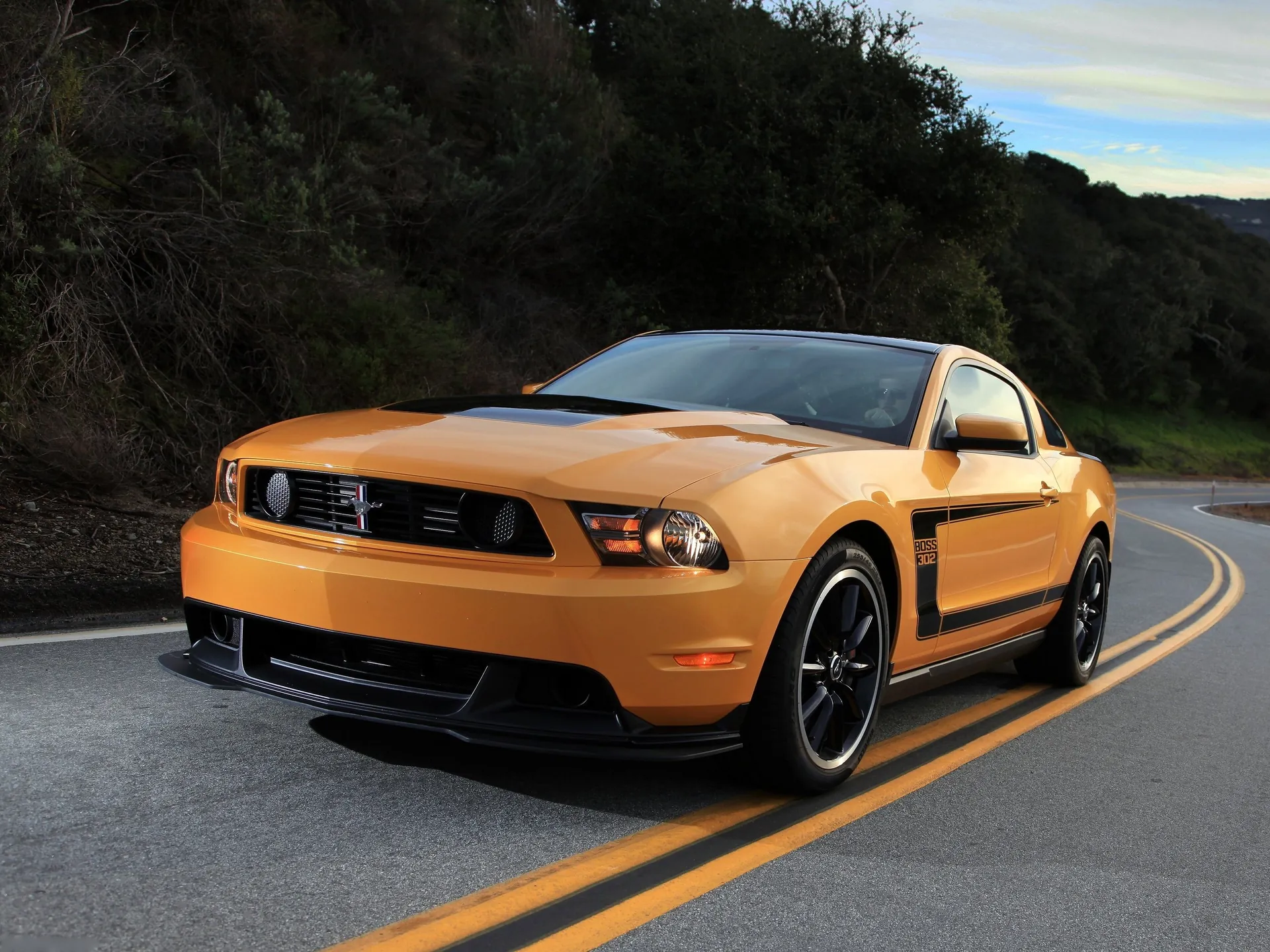 Ford Mustang Boss 302 (2012)