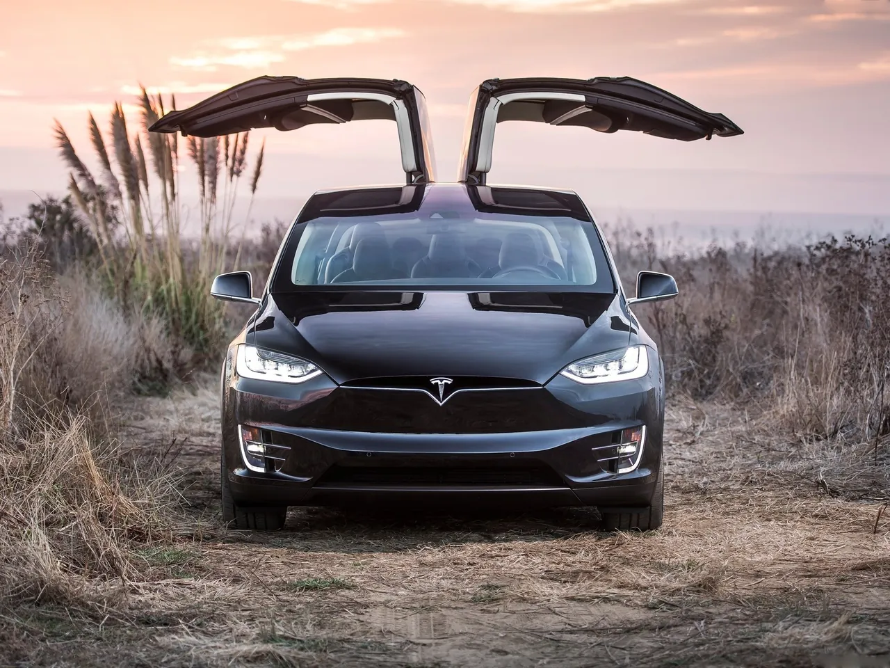Tesla Model X (2017) – zepředu
