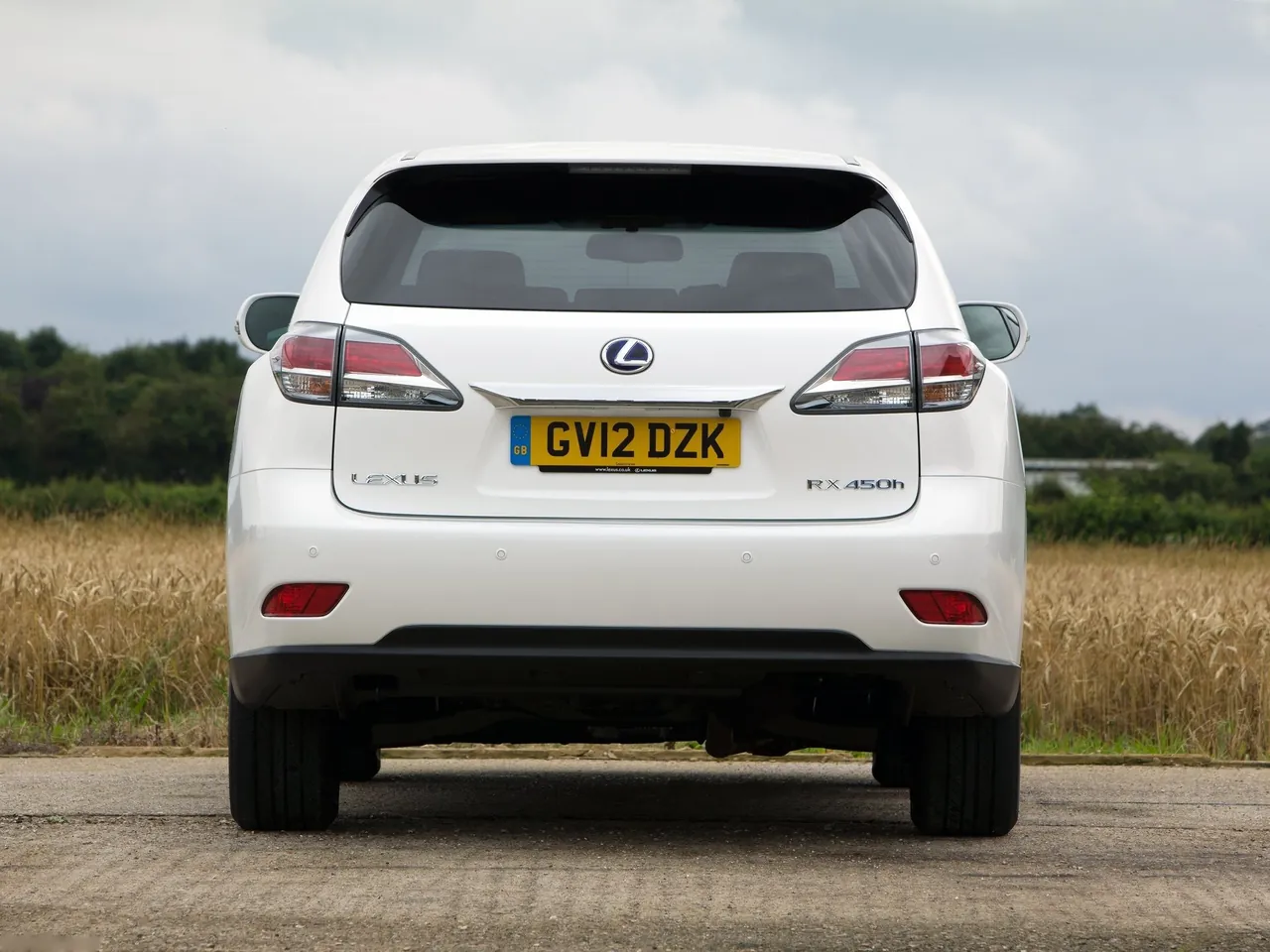 Lexus RX 450h F Sport (2013) – zezadu