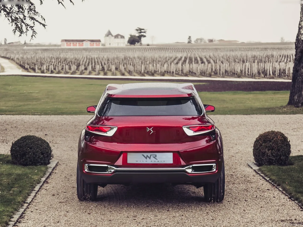 DS Wild Rubis Concept (2013) – zezadu