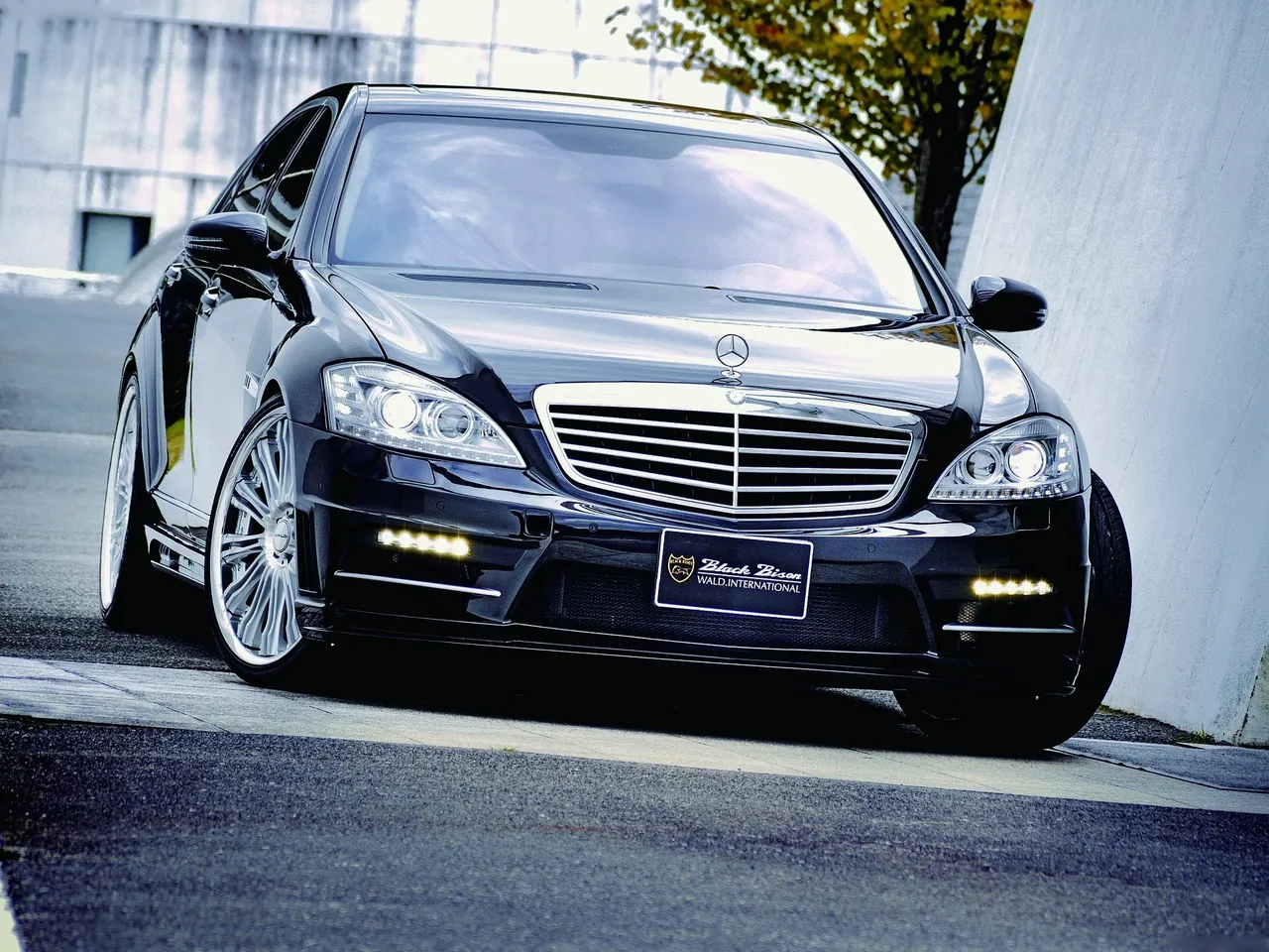 Wald Mercedes-Benz S-Class W221 Black Bison (2009)