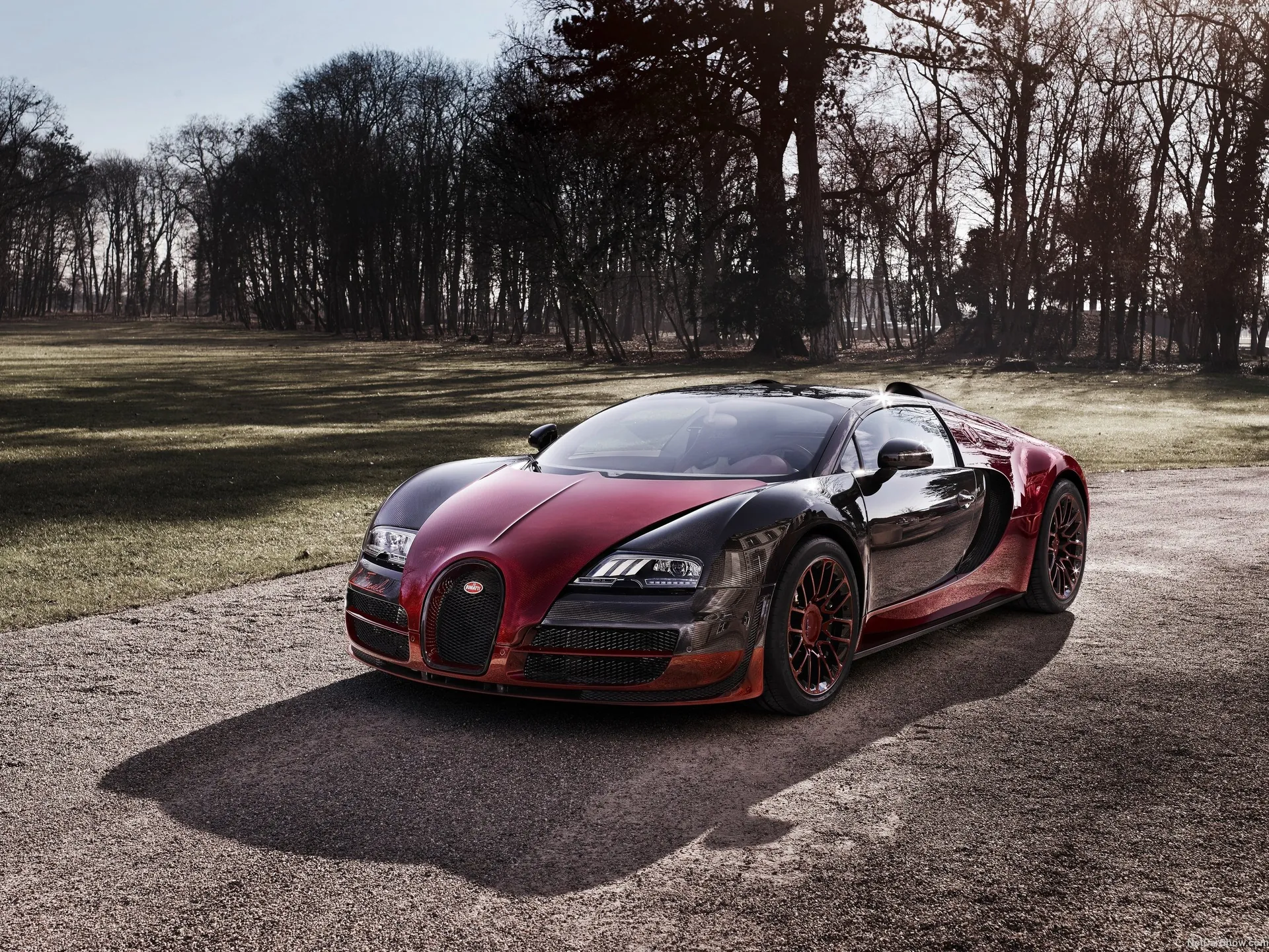Bugatti Veyron Grand Sport Vitesse La Finale (2015)