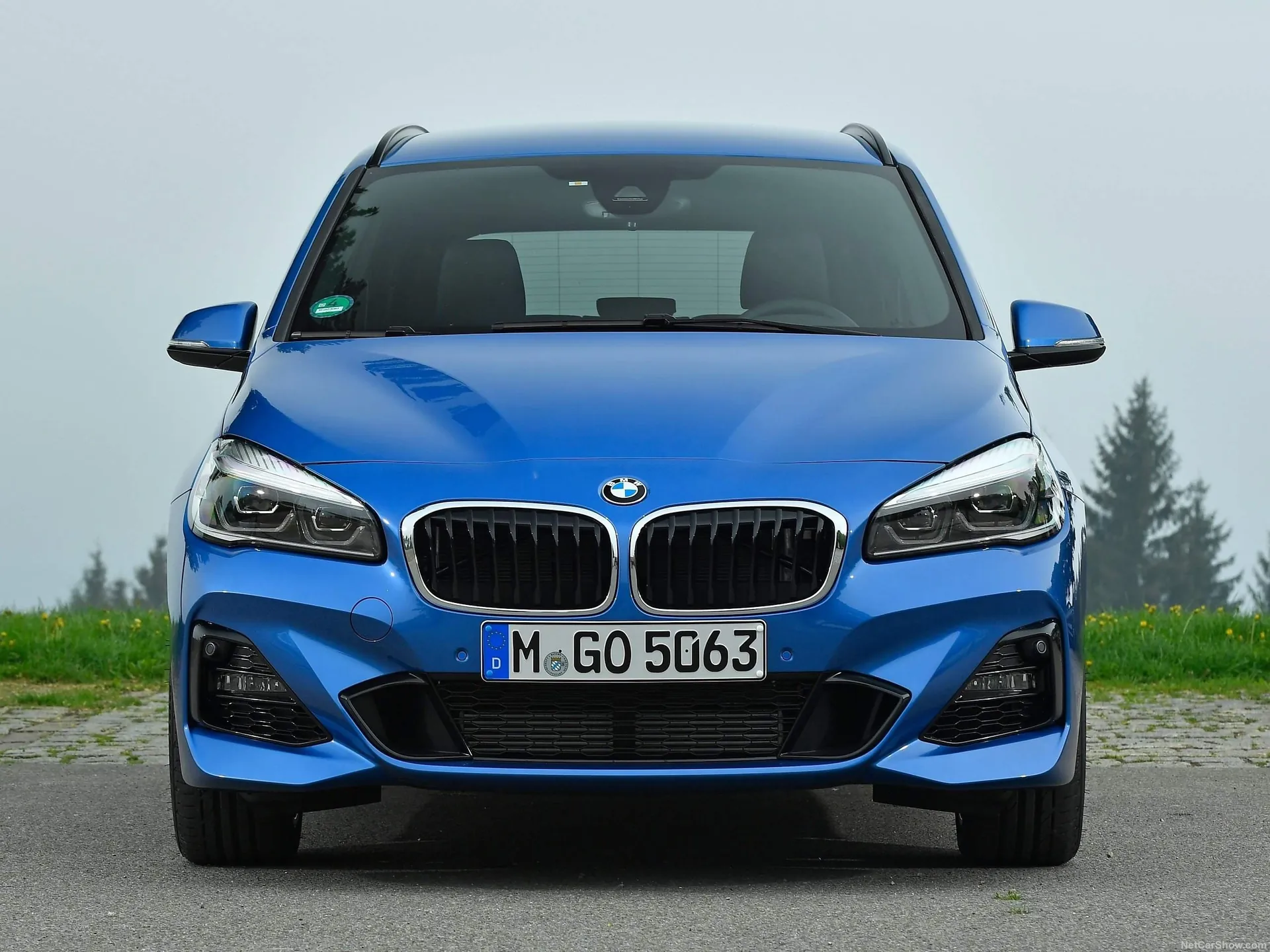 BMW 2-Series Gran Tourer (2019) – zepředu