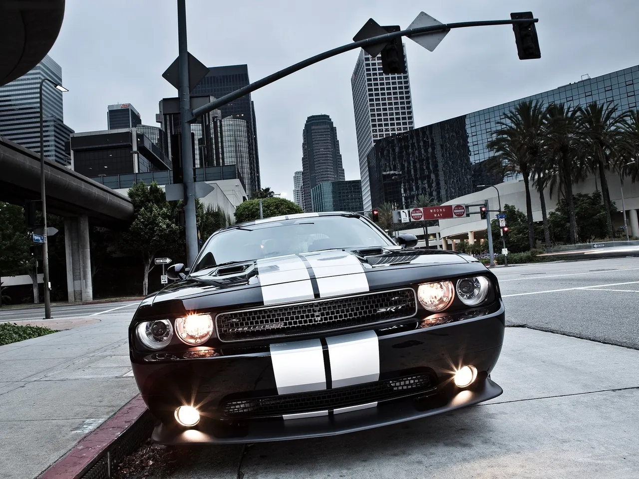 Dodge Challenger SRT8 392 (2012) – zepředu