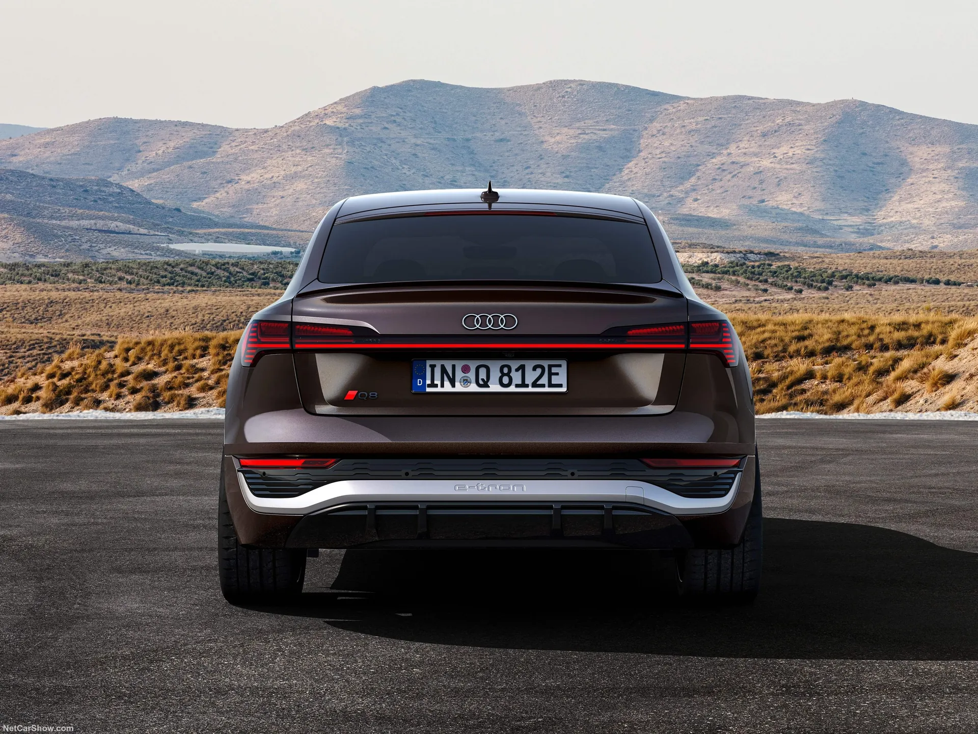Audi Q8 Sportback e-tron quattro (2024) – zezadu