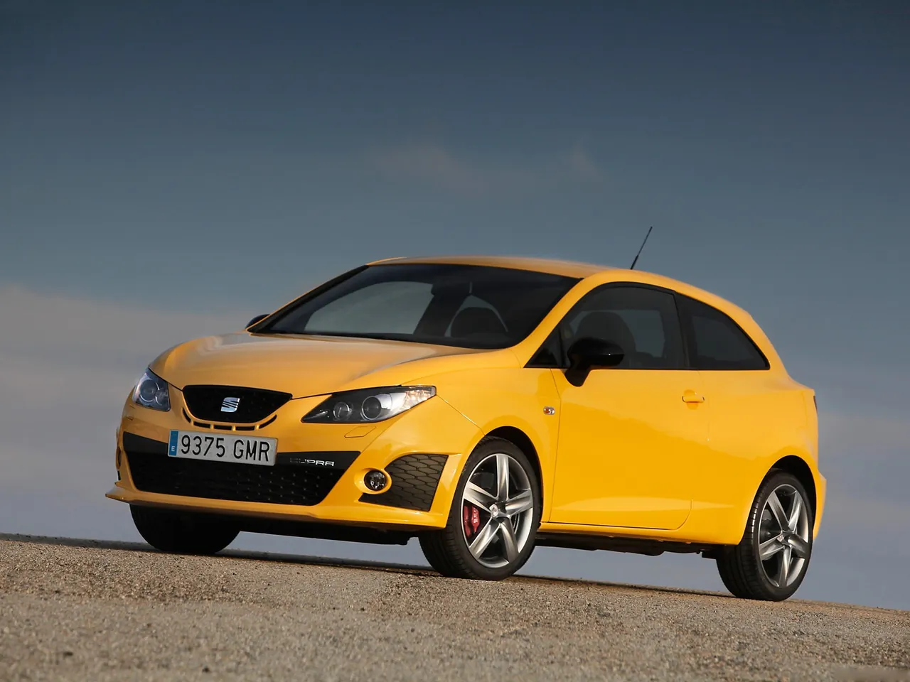 Seat Ibiza Cupra (2009)