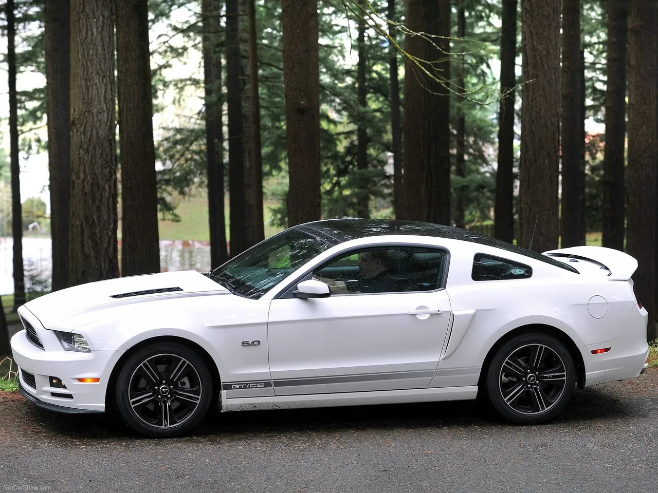 Ford Mustang GT (2013) – boční profil
