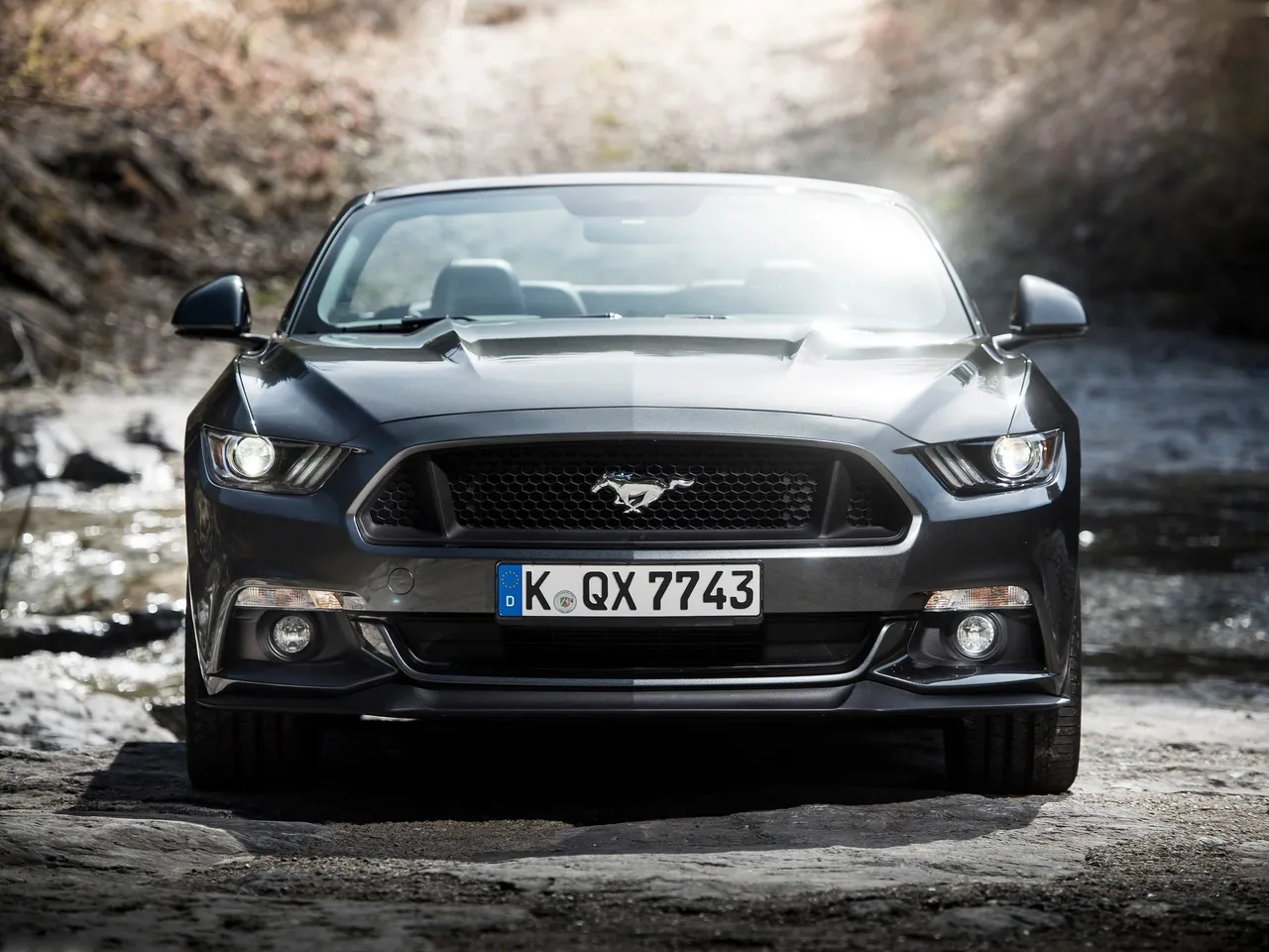 Ford Mustang Convertible [EU] (2015) – zepředu