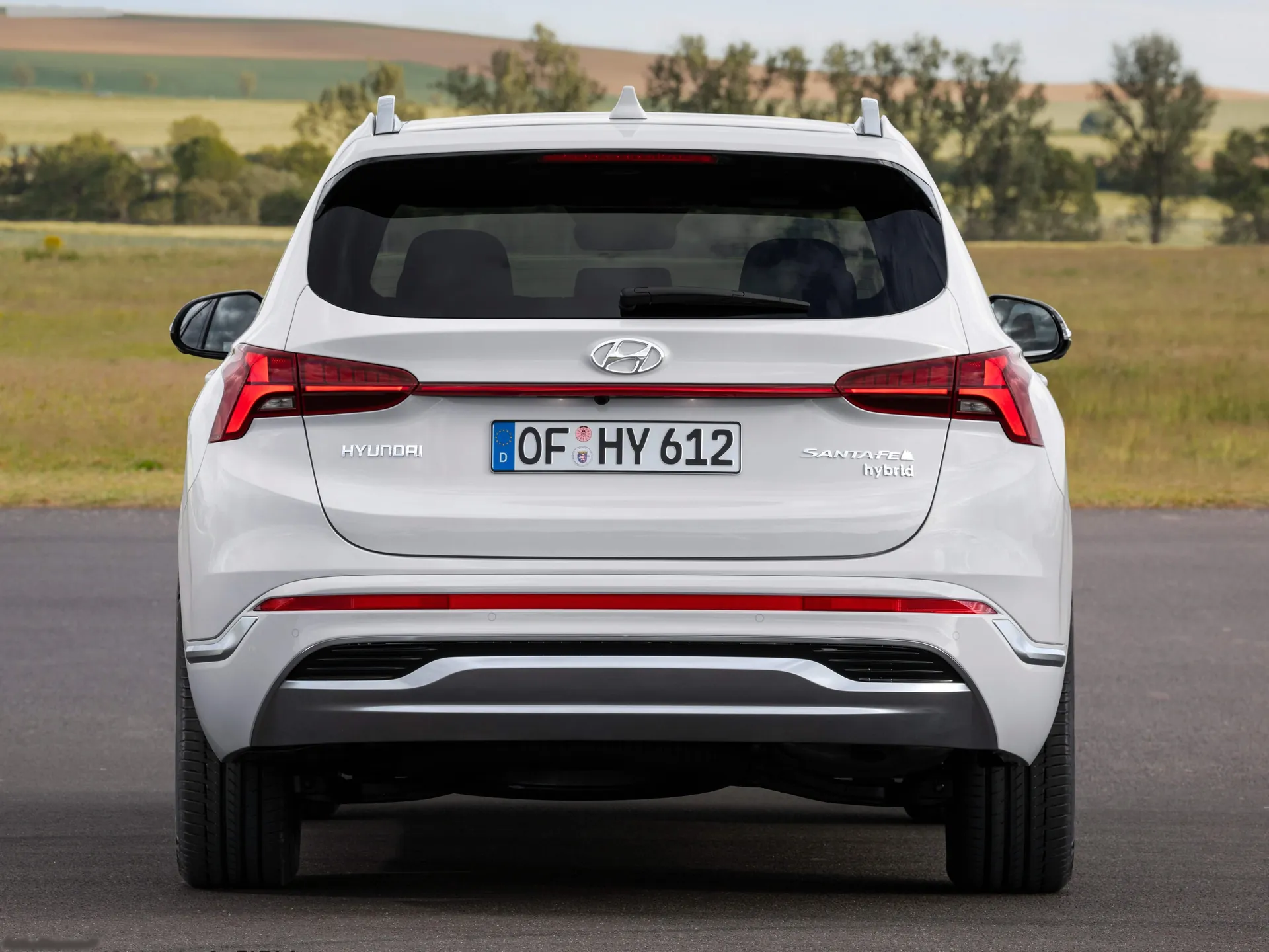 Hyundai Santa Fe (2021) - Rear