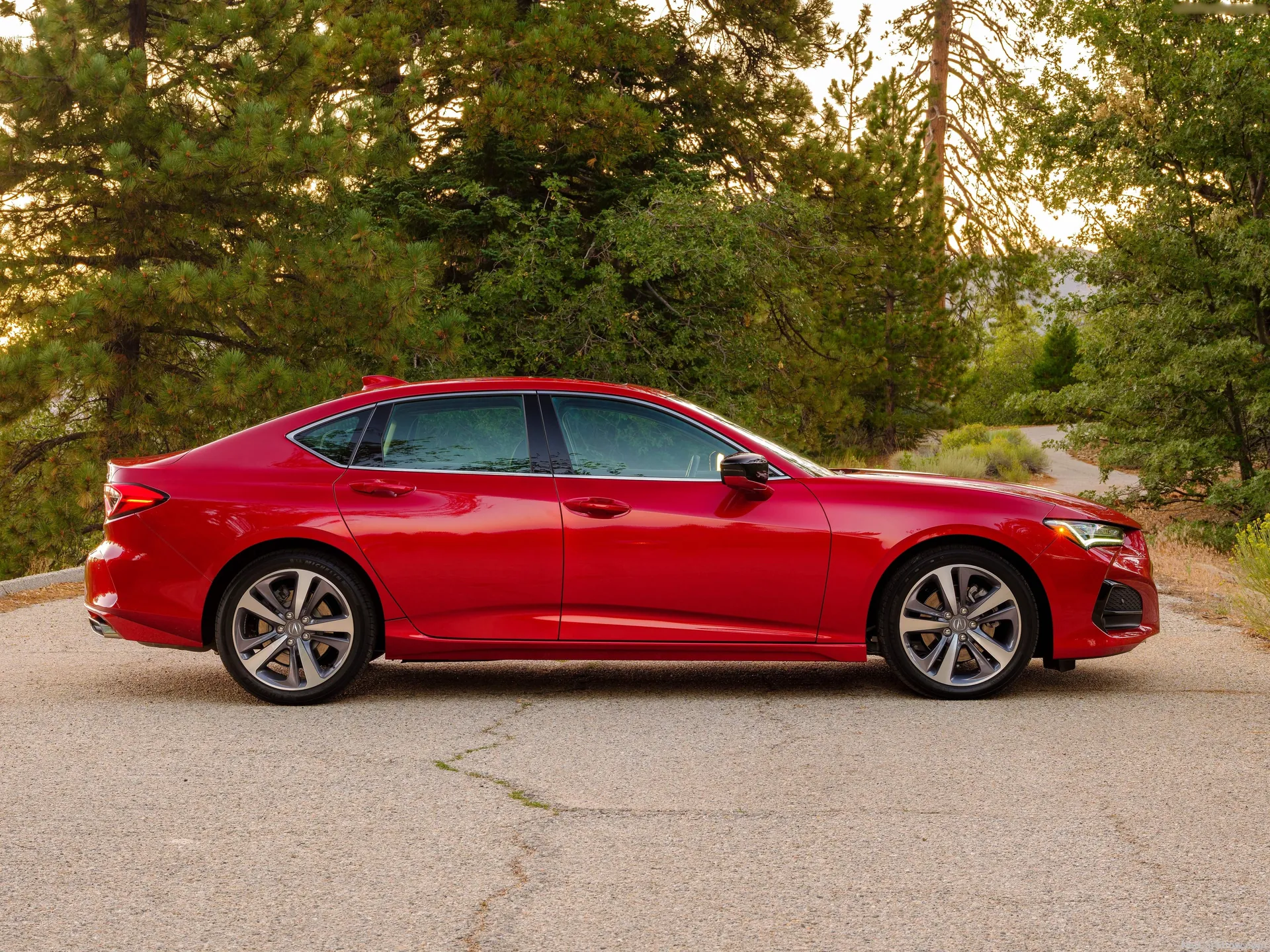 Acura TLX (2021) - Side Profile