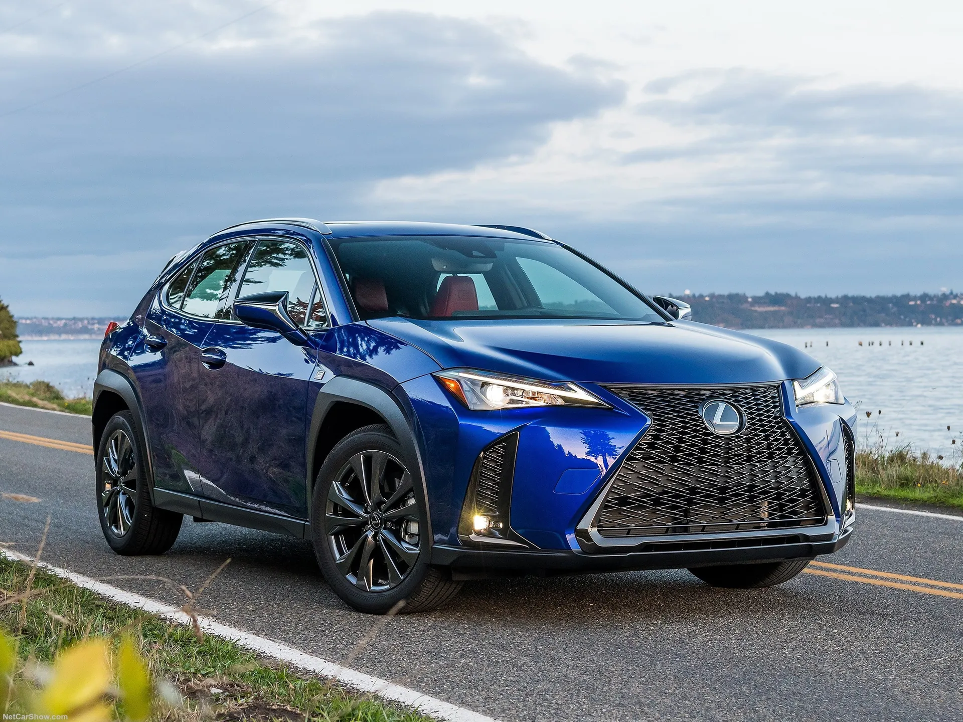 Lexus UX [US] (2019)