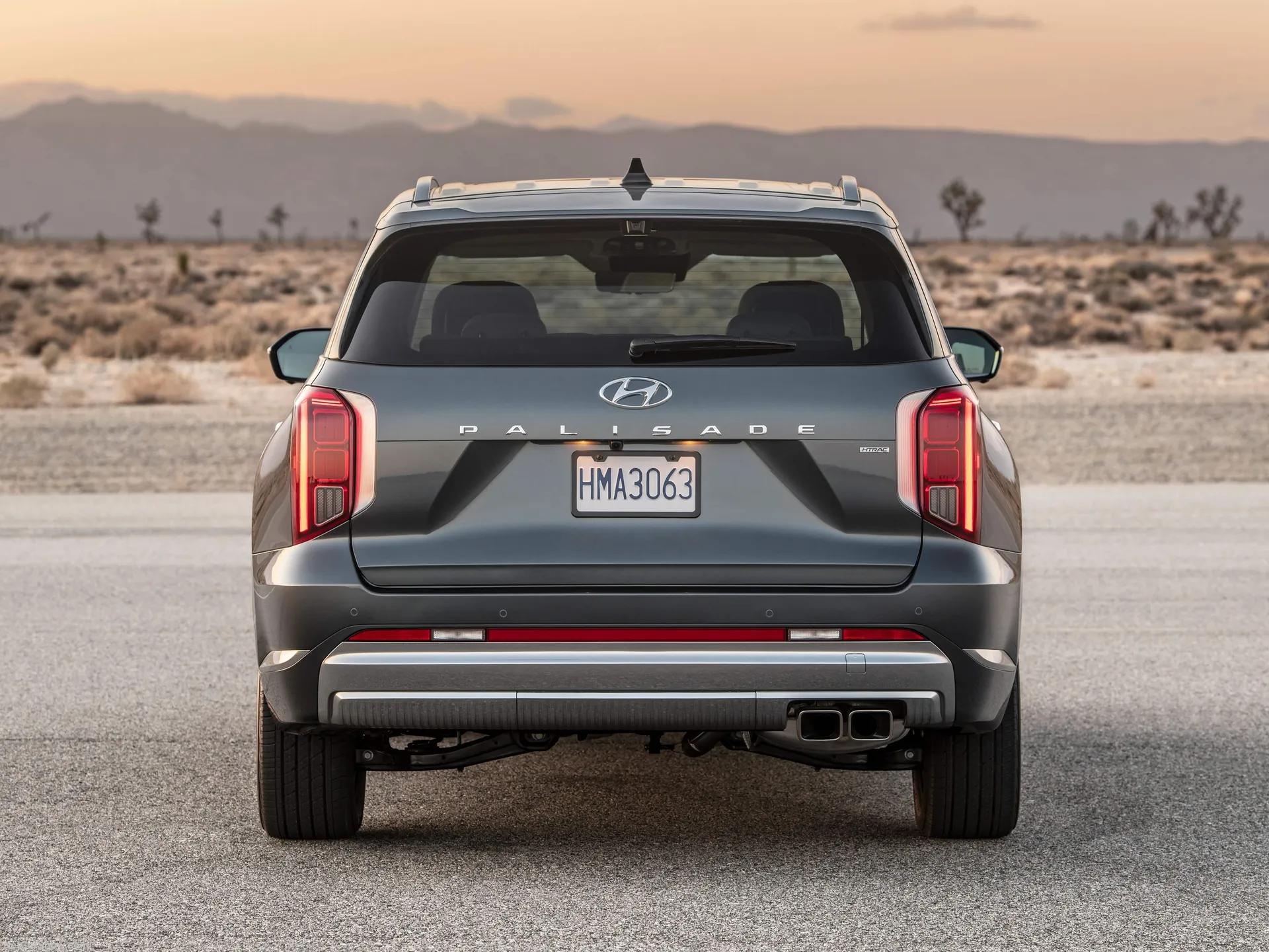 Hyundai Palisade (2023) - Rear
