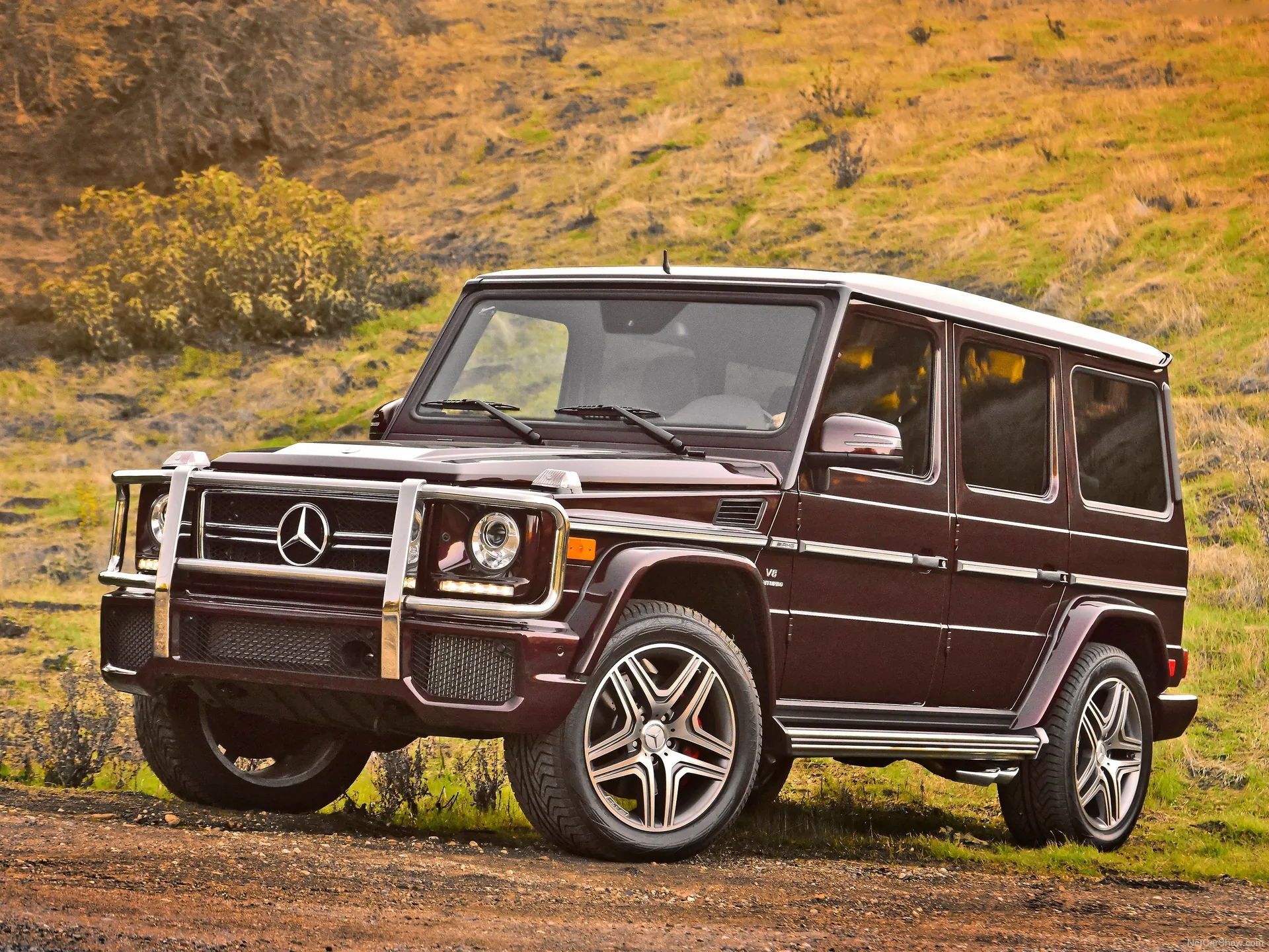 Mercedes-Benz G63 AMG (2013)