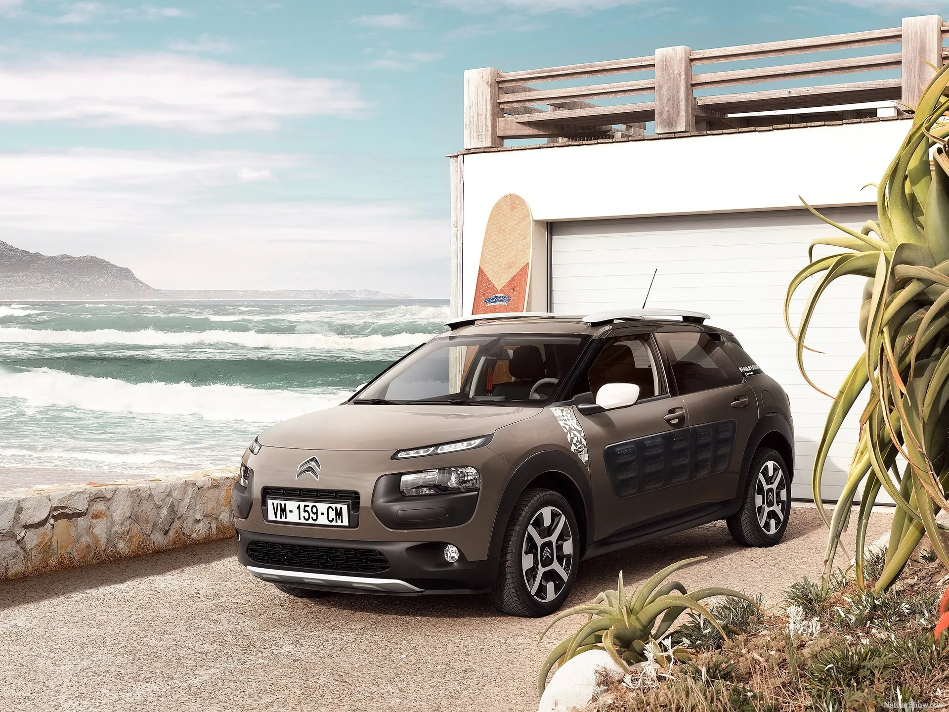 Citroen C4 Cactus Rip Curl (2017)