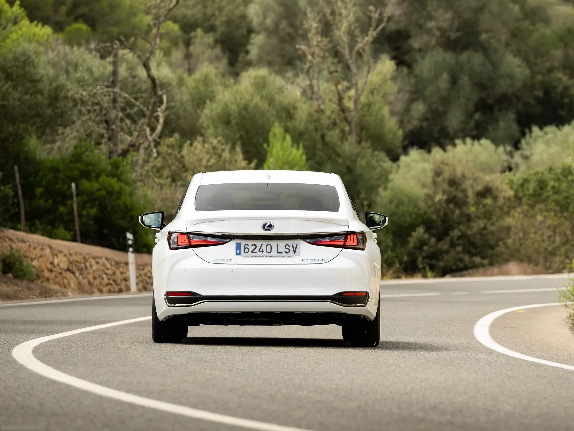 Lexus ES 300h [EU] (2022) – zezadu
