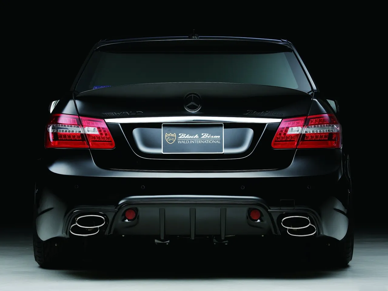 Wald Mercedes-Benz E-Class W212 Black Bison (2010) – zezadu