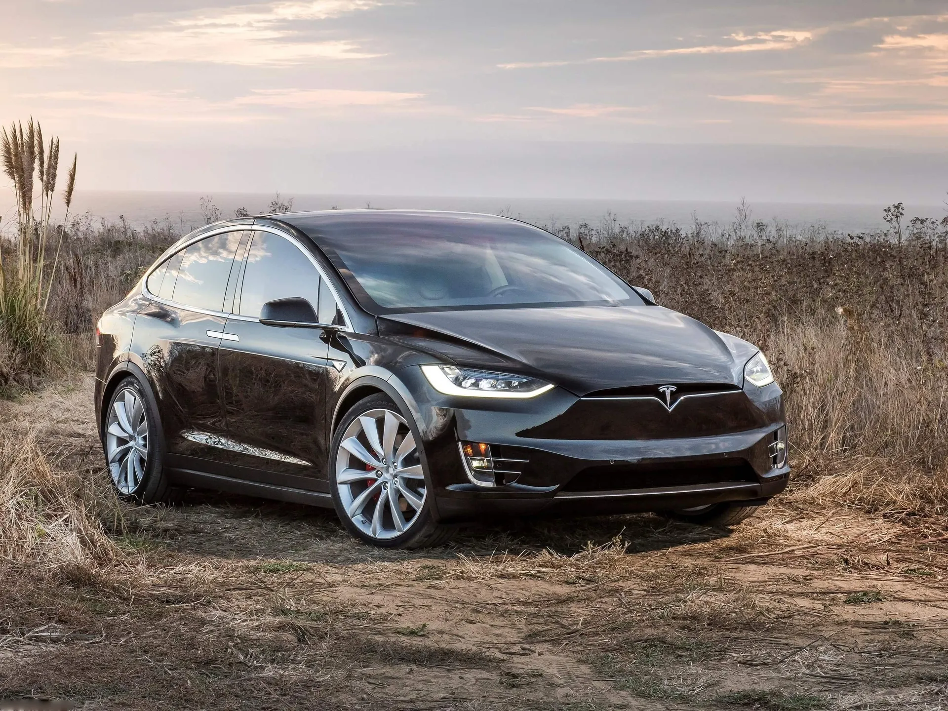 Tesla Model X (2017)