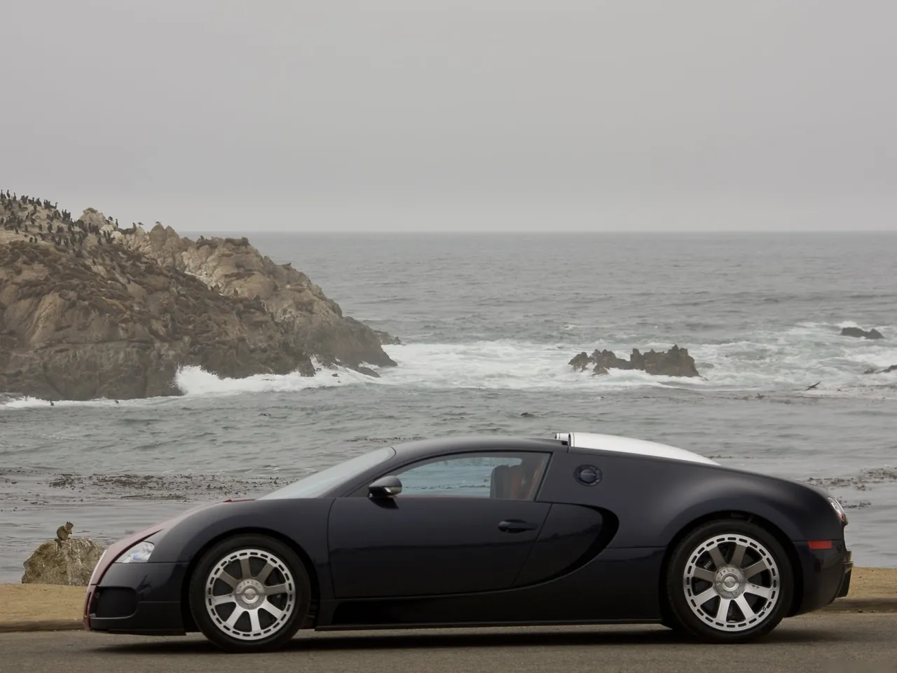 Bugatti Veyron Fbg par Hermes (2009) – boční profil