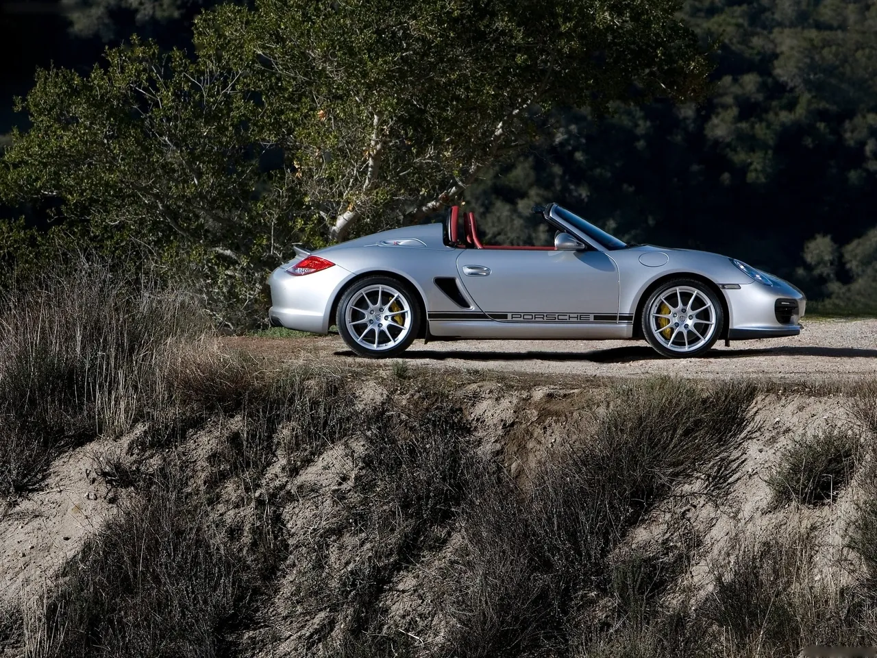 Porsche Boxster Spyder (2010) - Side Profile