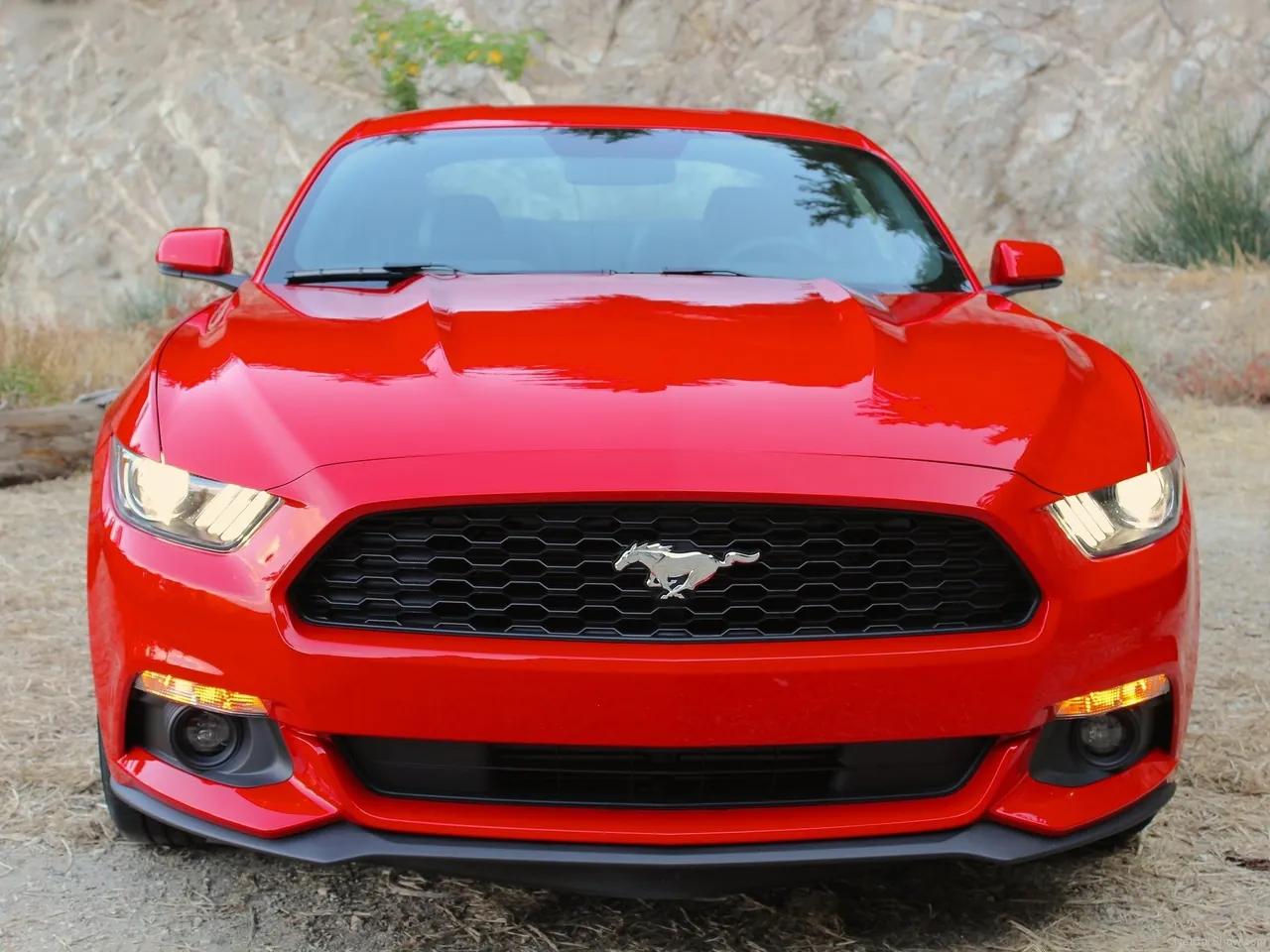 Ford Mustang EcoBoost (2015) – zepředu