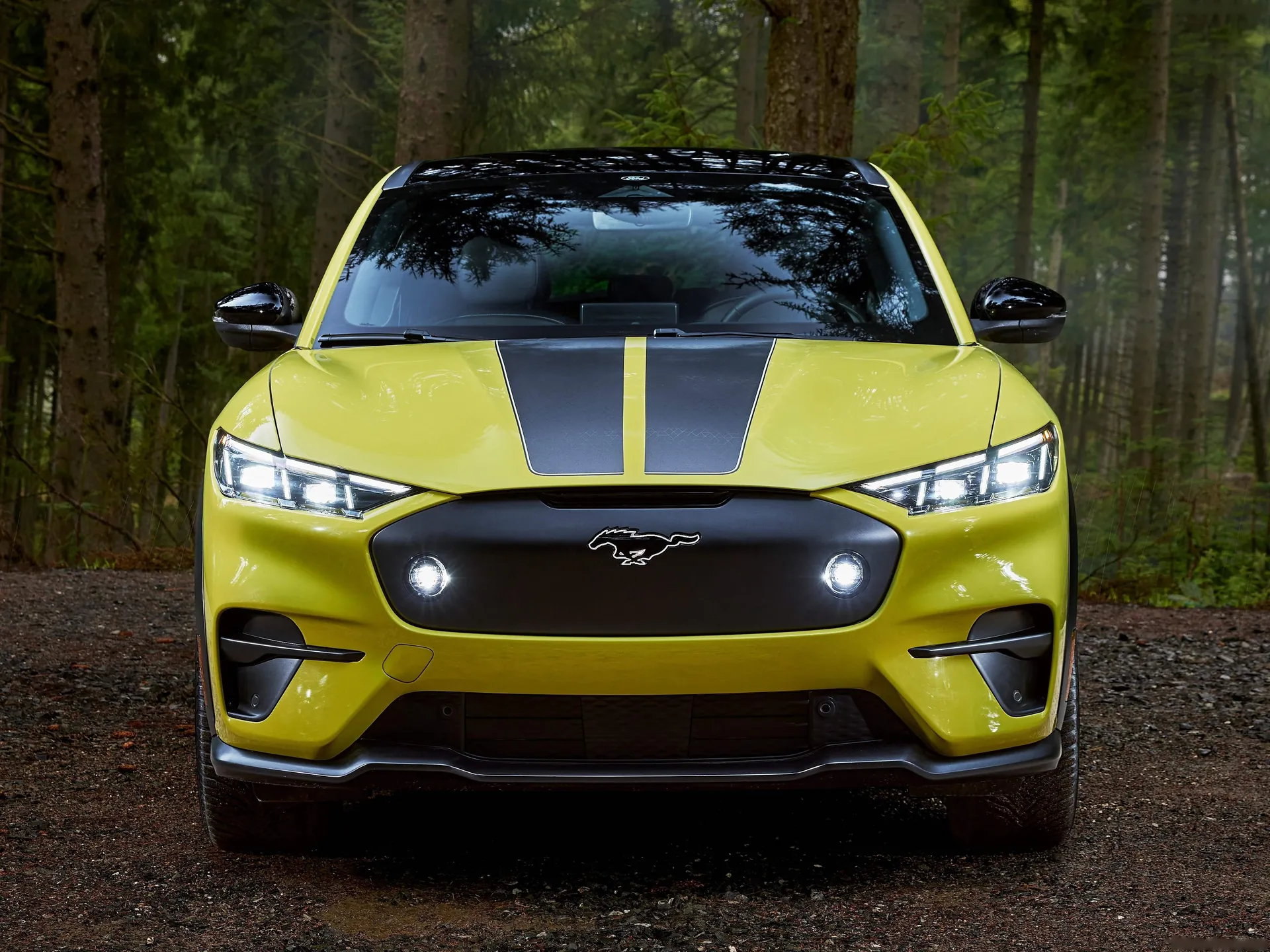Ford Mustang Mach-E Rally (2024) – zepředu