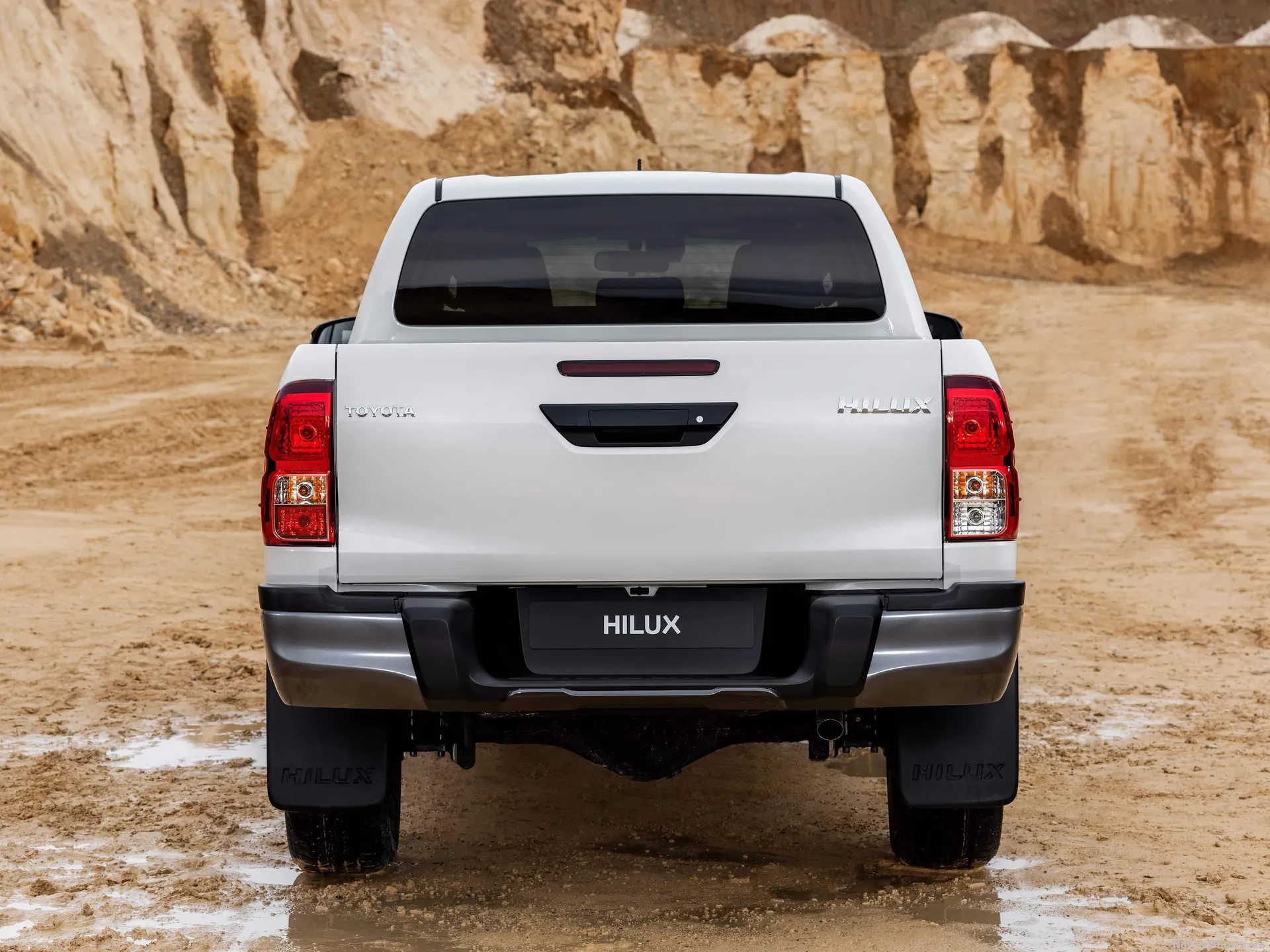 Toyota Hilux Special Edition (2019) - Rear