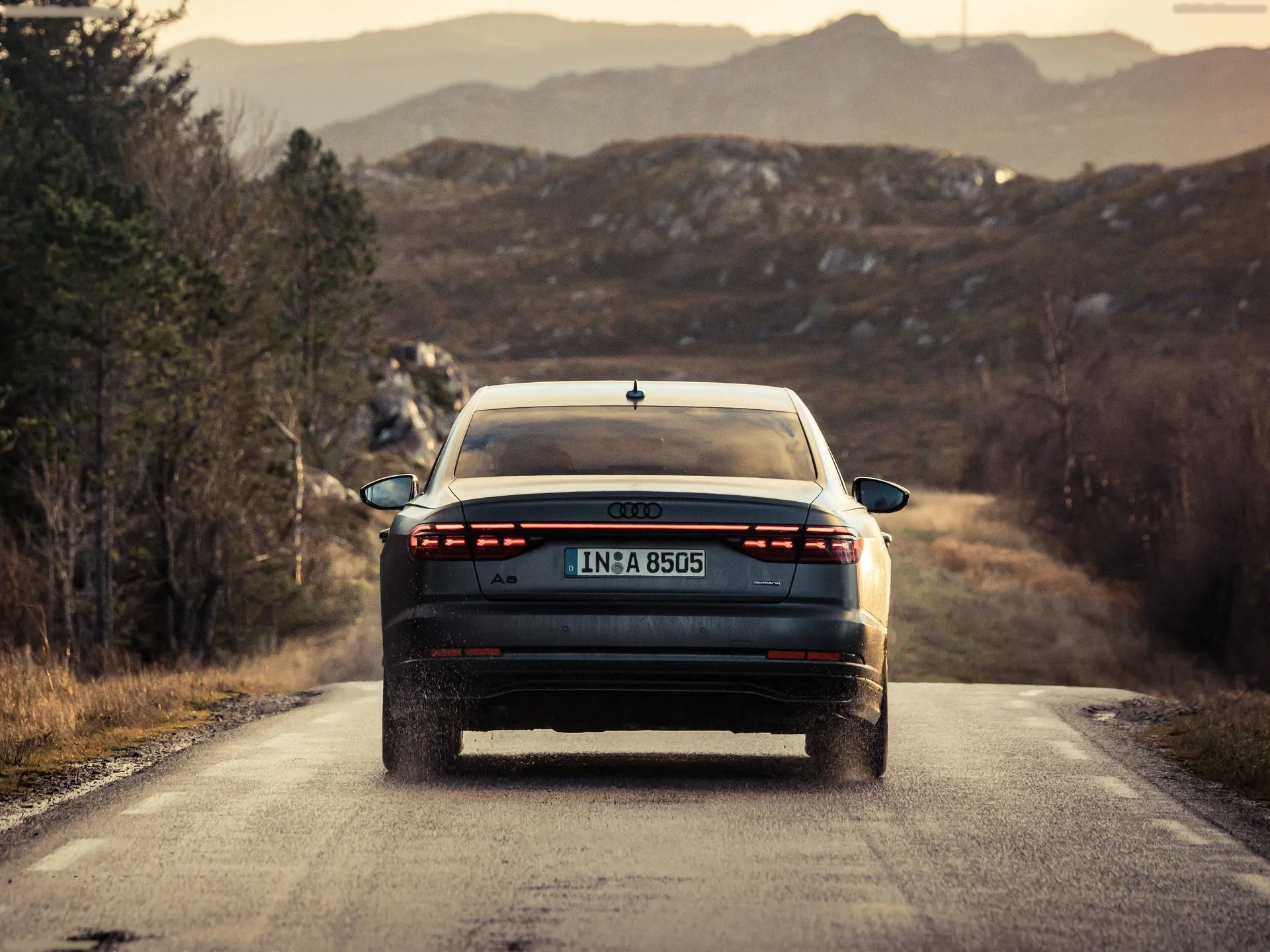 Audi A8 (2022) – zezadu