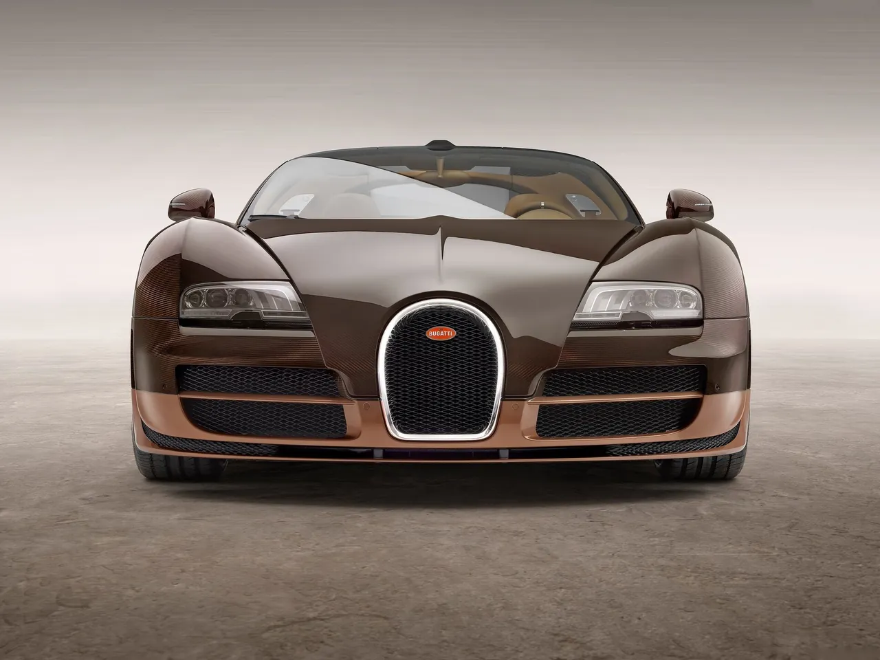 Bugatti Veyron Rembrandt Bugatti (2014) – zepředu