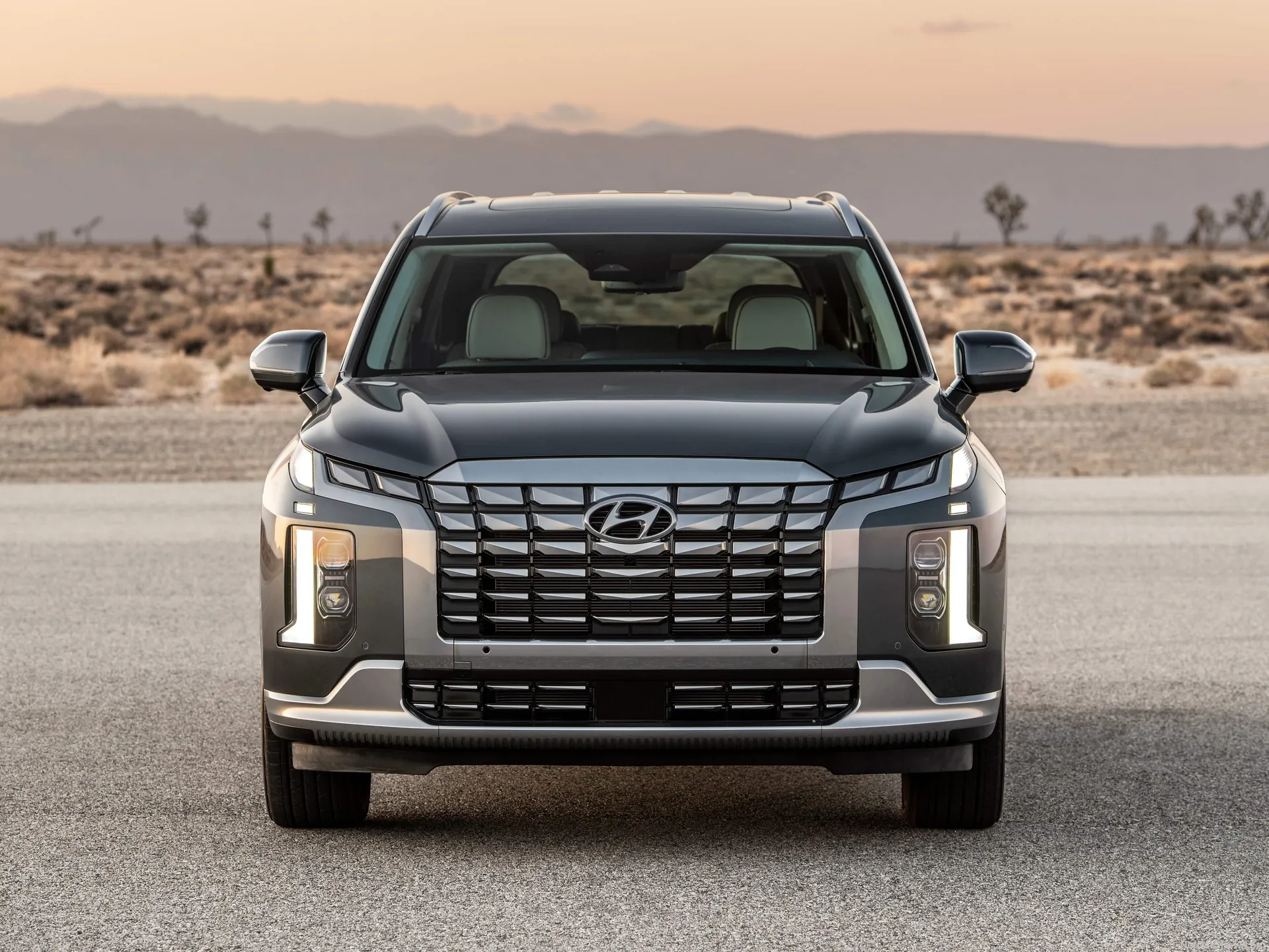 Hyundai Palisade (2023) - Front