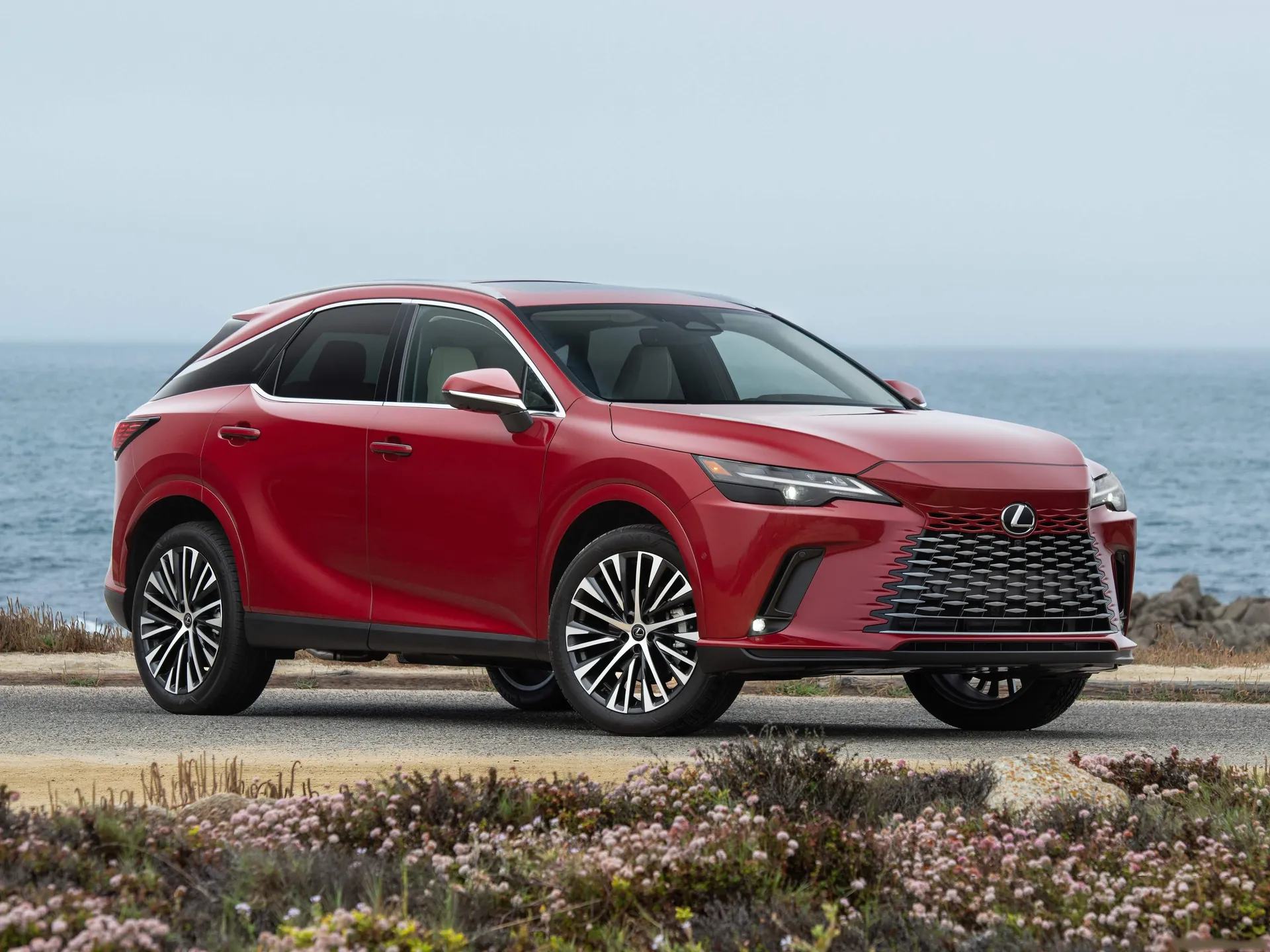 Lexus RX [US] (2023)