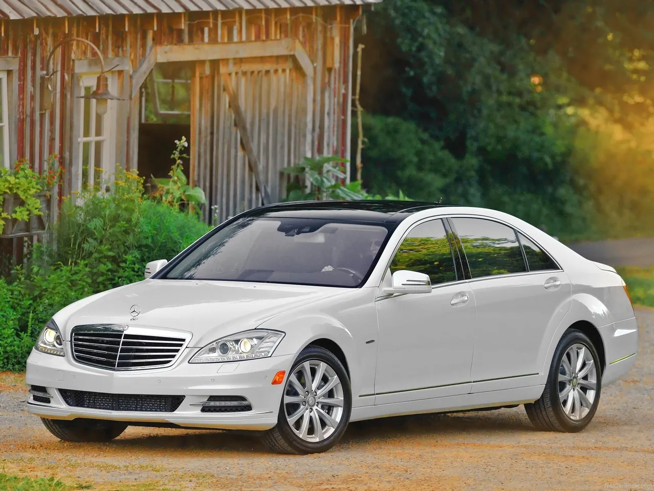 Mercedes-Benz S350 BlueTEC 4Matic (2012)