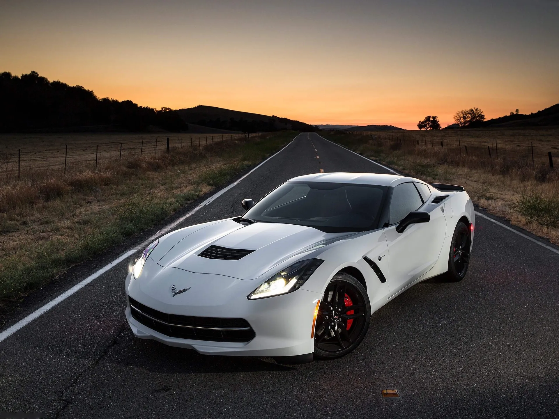 Chevrolet Corvette C7 Stingray (2014)