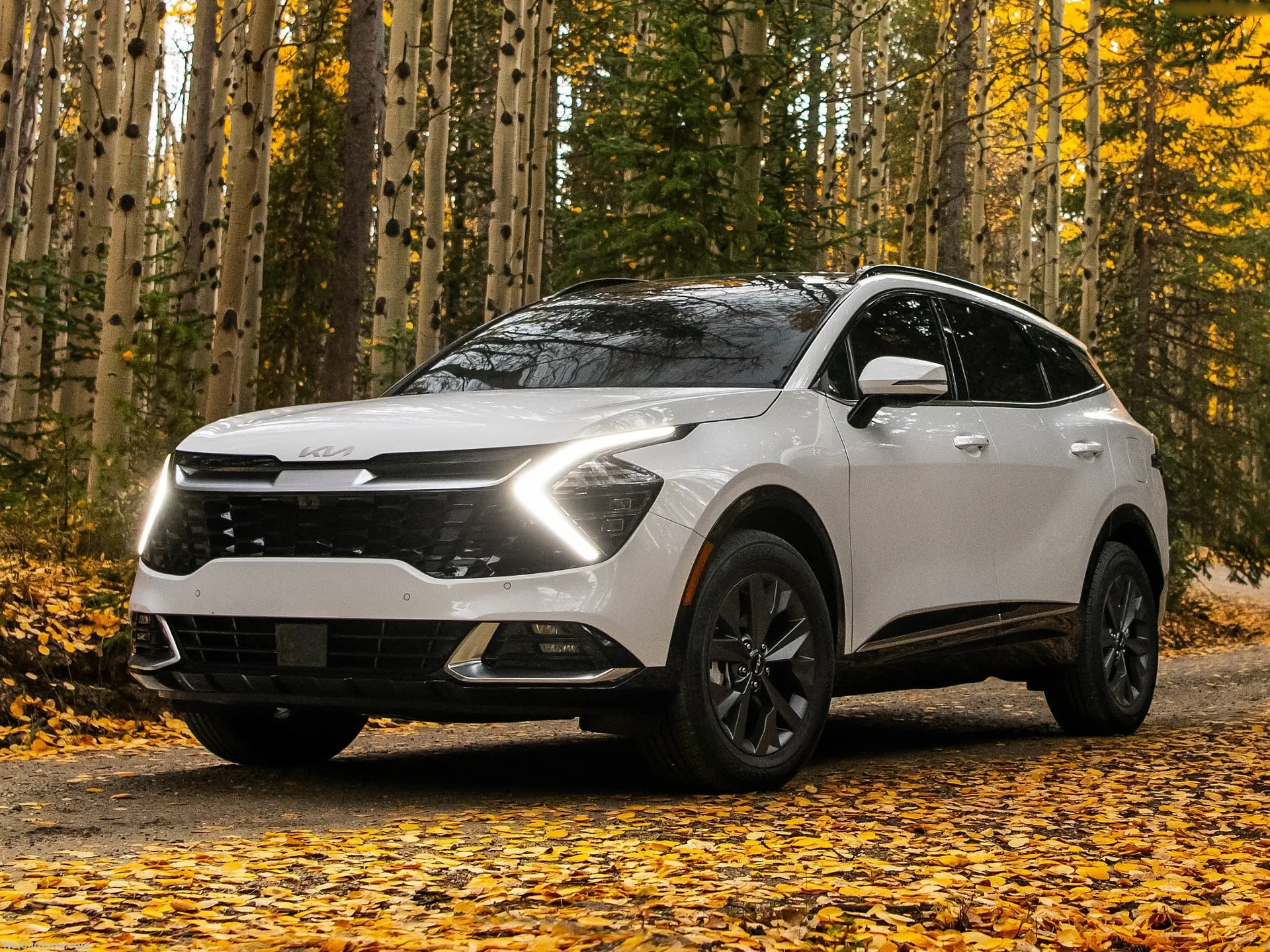 Kia Sportage [US] (2023)