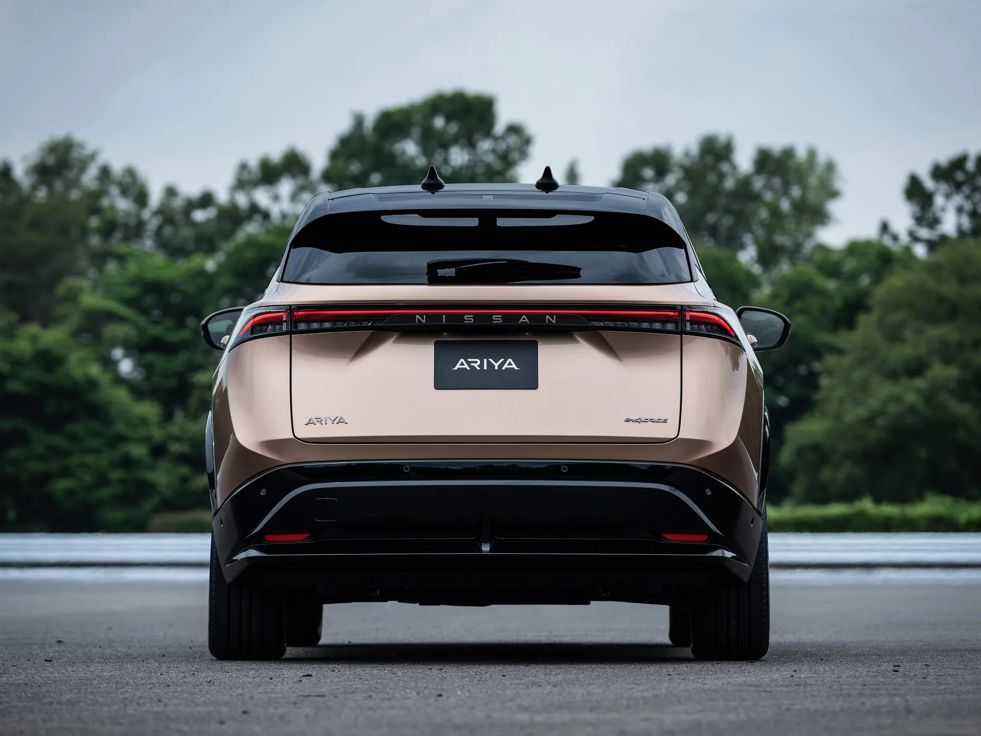 Nissan Ariya (2021) – zezadu