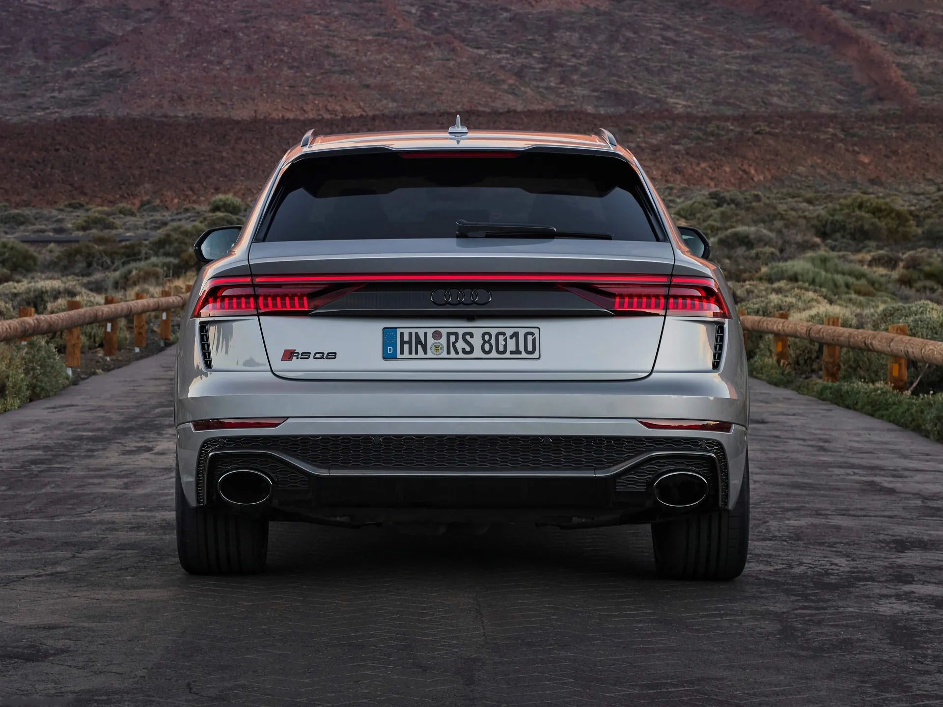 Audi RS Q8 (2020) - Rear